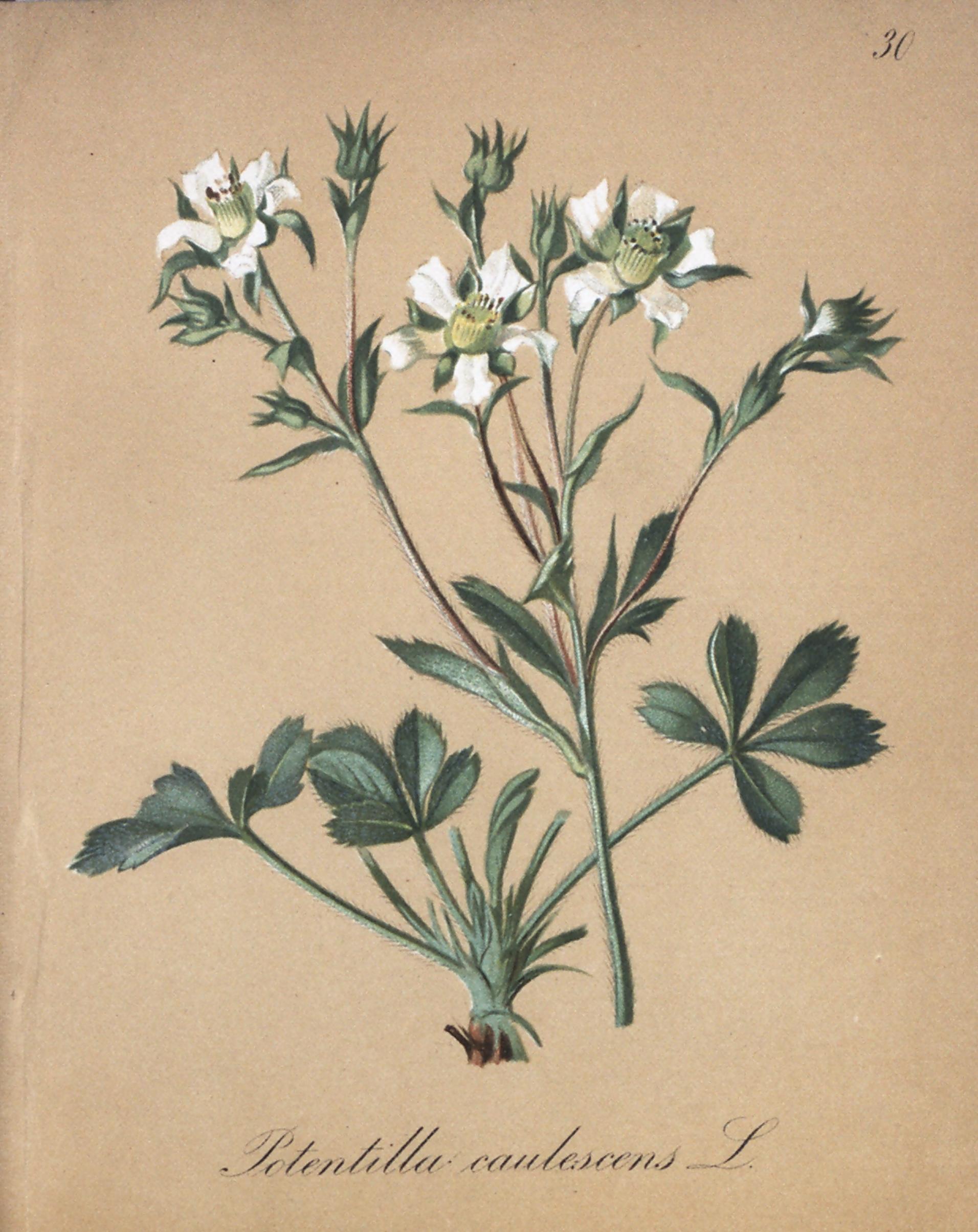 no full size  illustration available (3a)