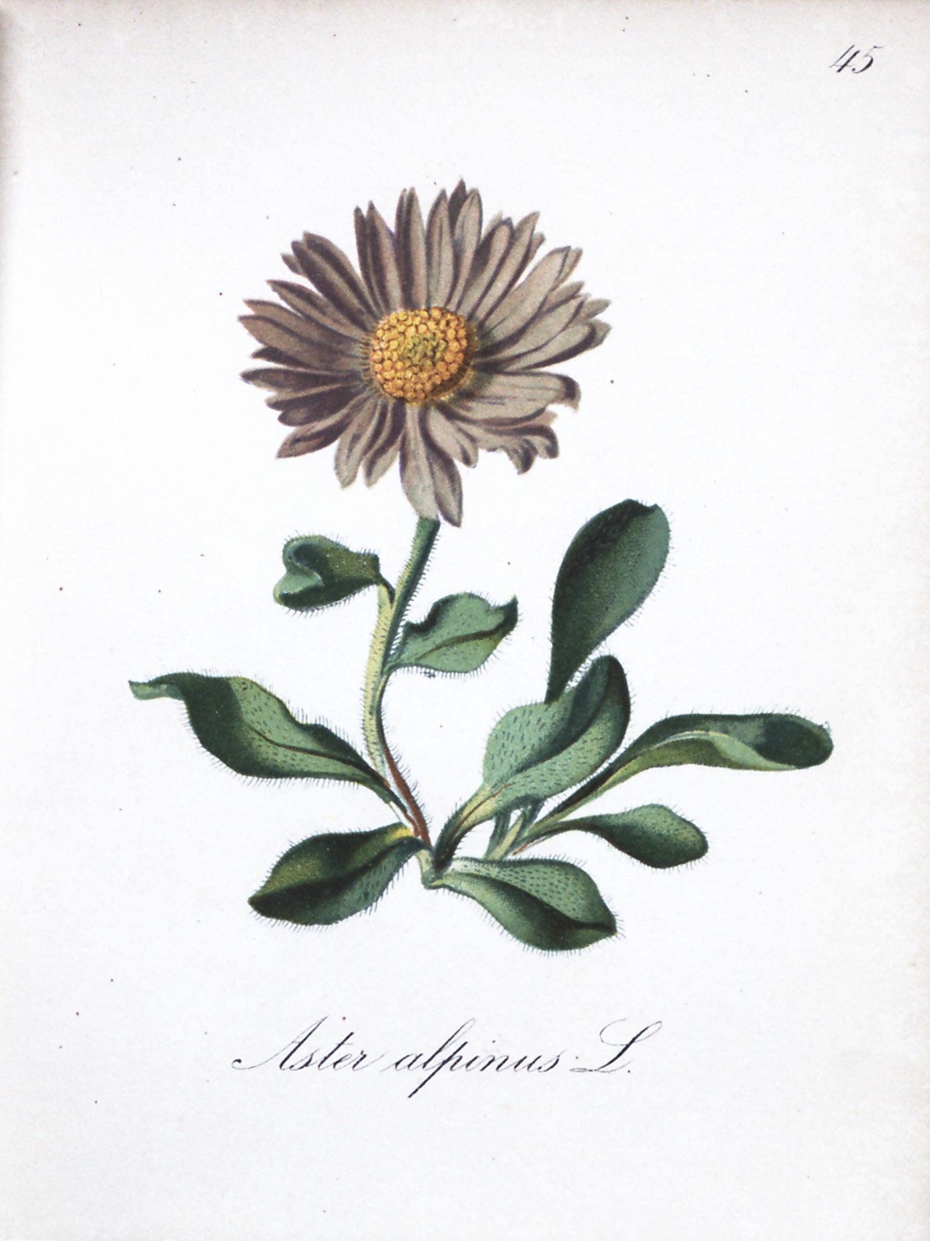 no full size  illustration available (3a)