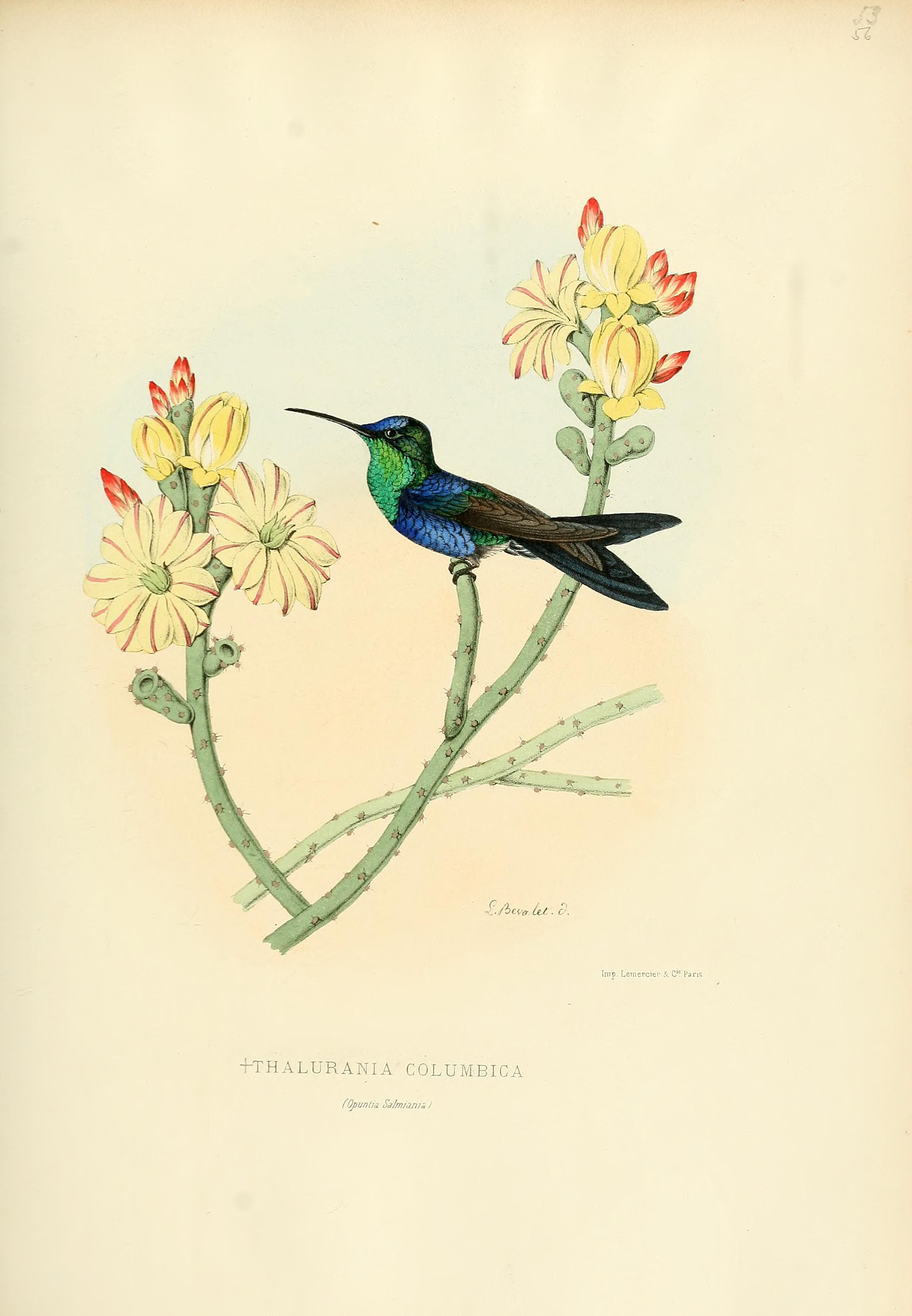 no full size  illustration available (3a)