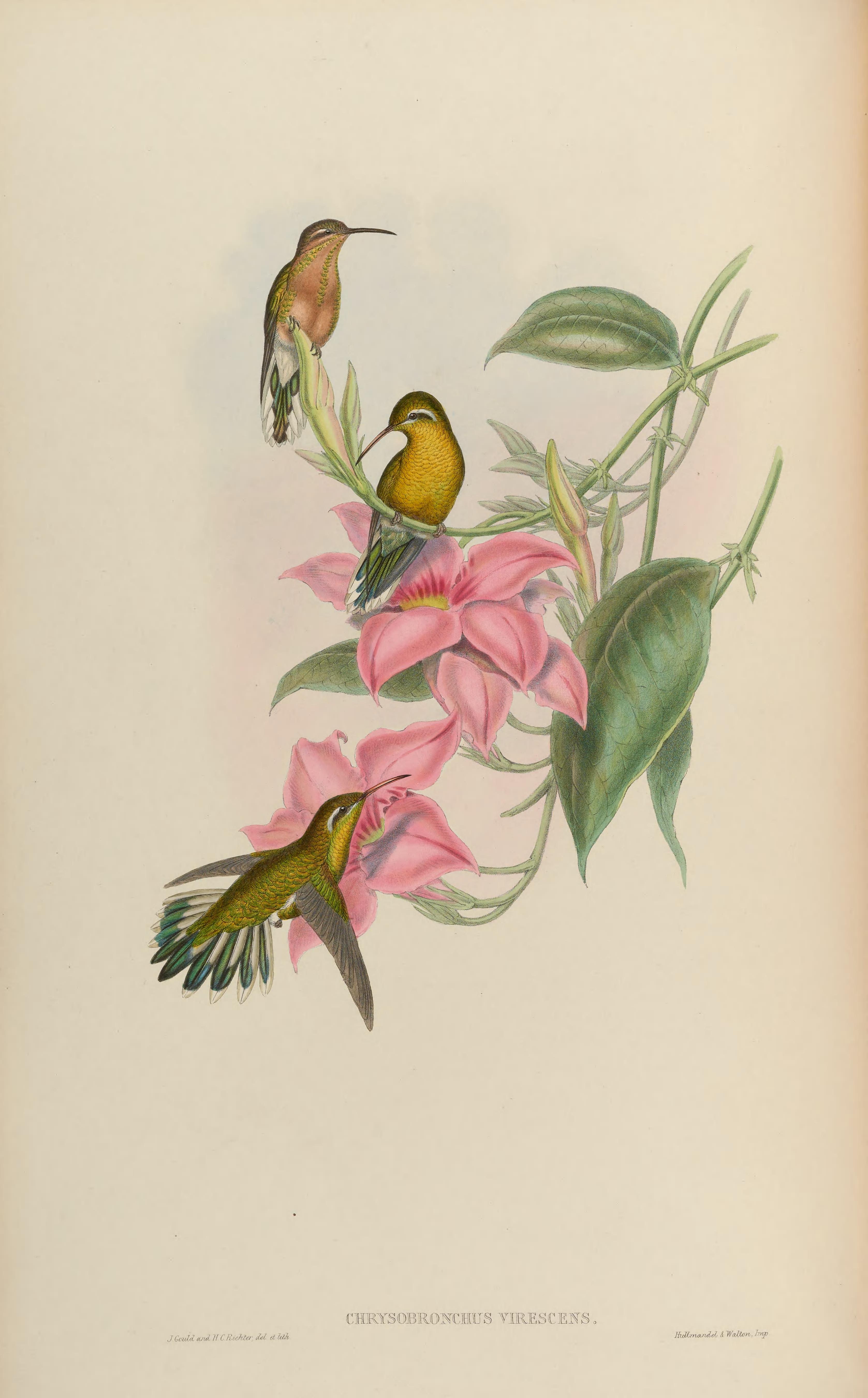 no full size  illustration available (3a)