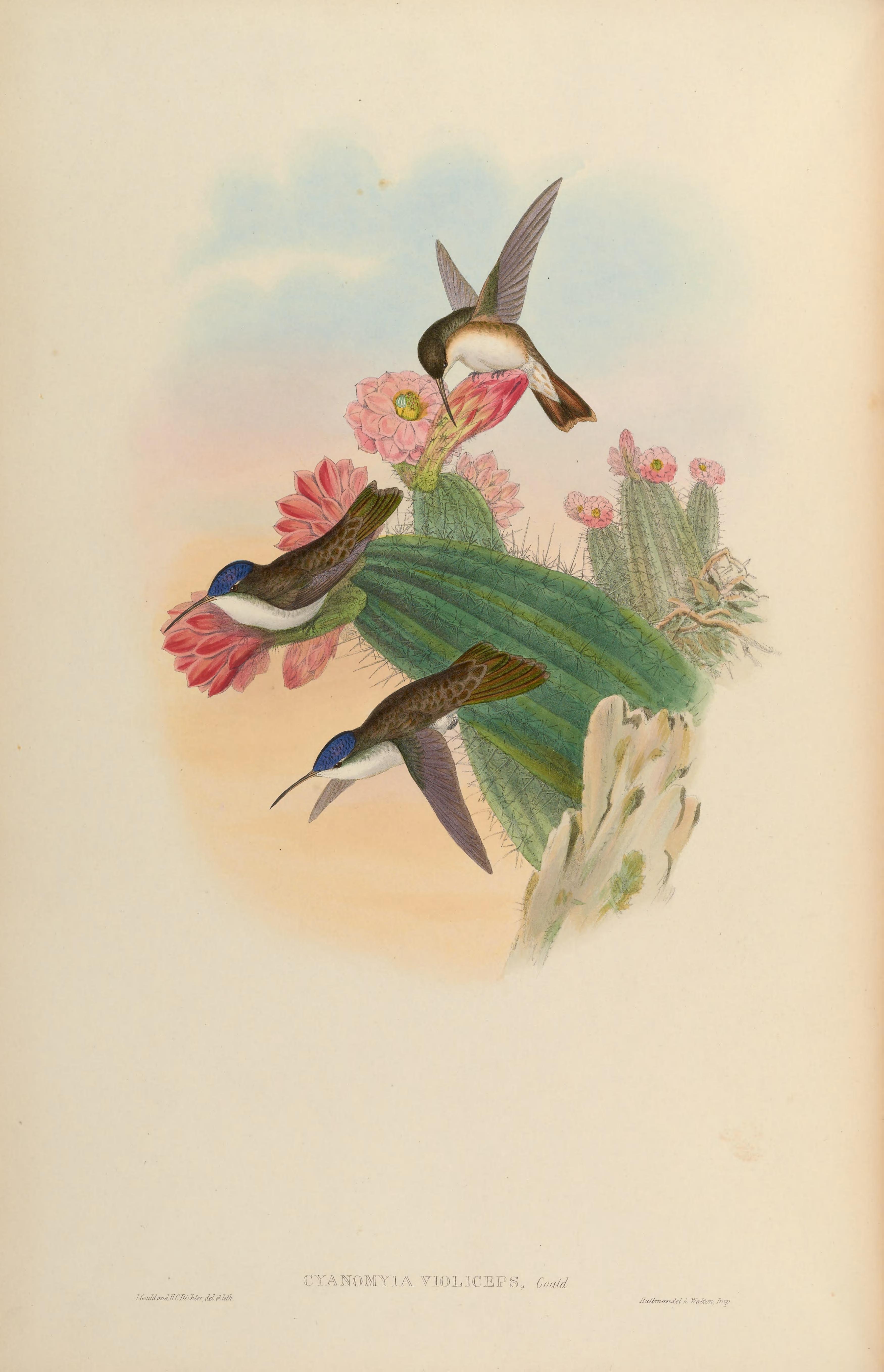 no full size  illustration available (3a)