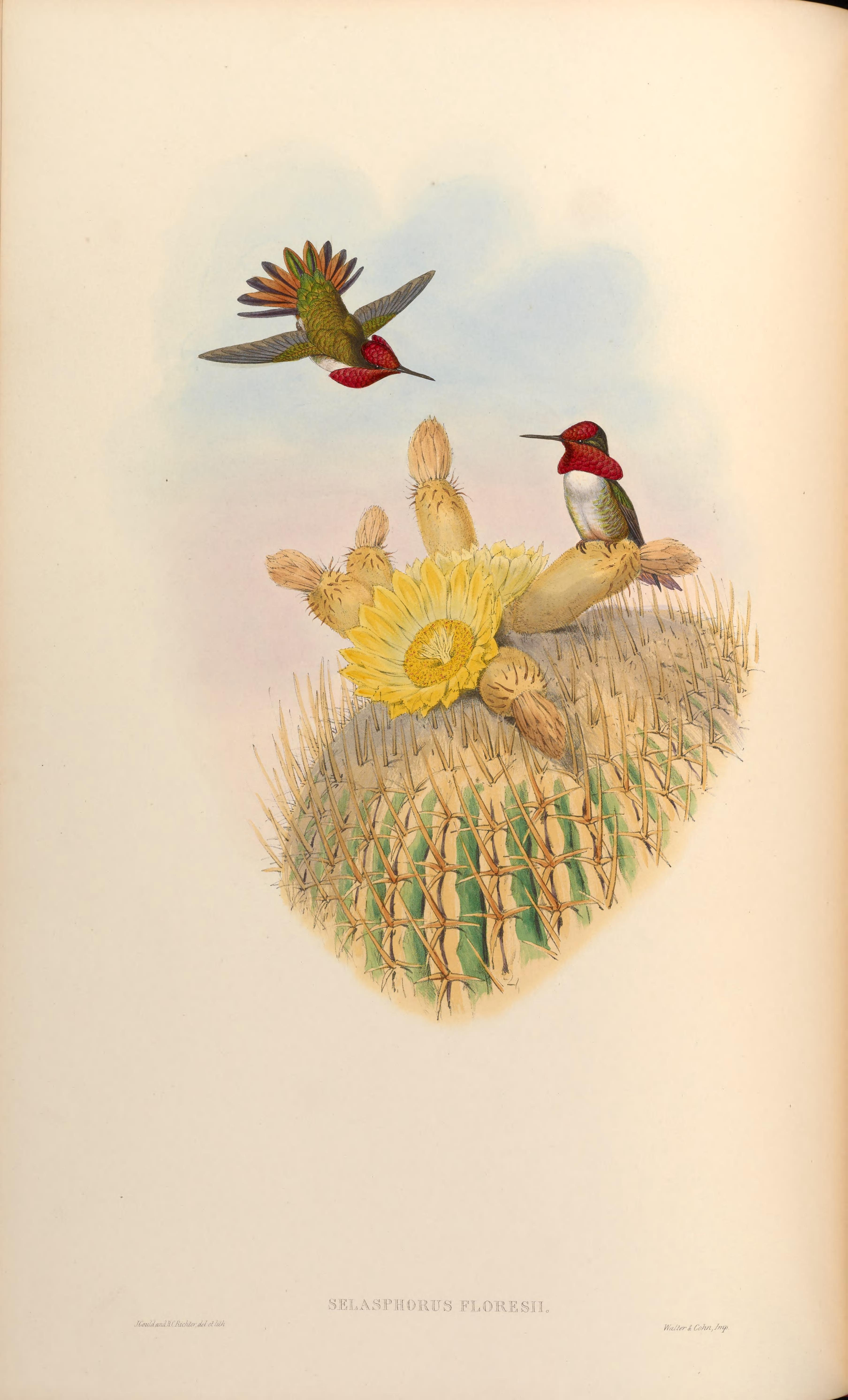 no full size  illustration available (3a)