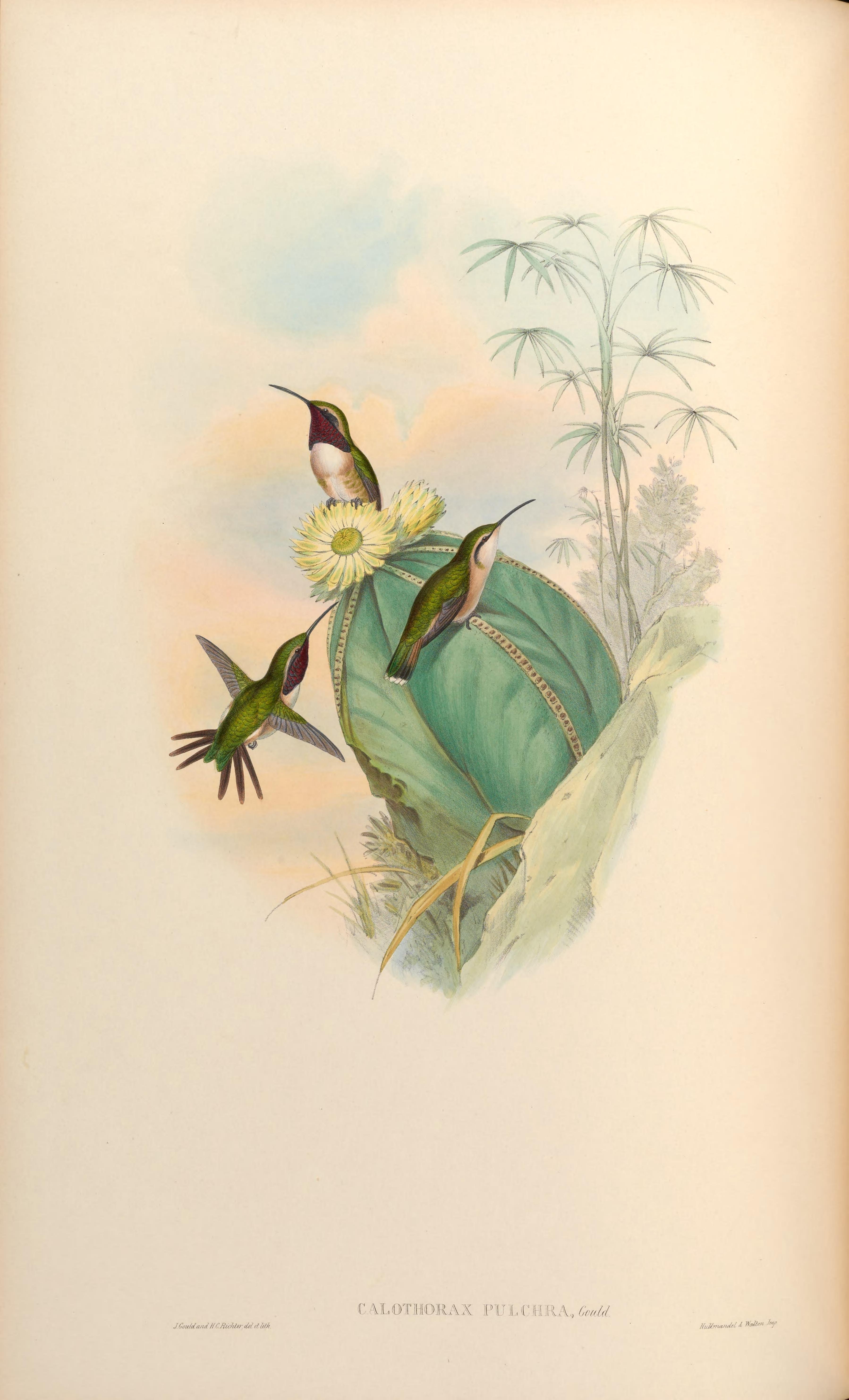 no full size  illustration available (3a)