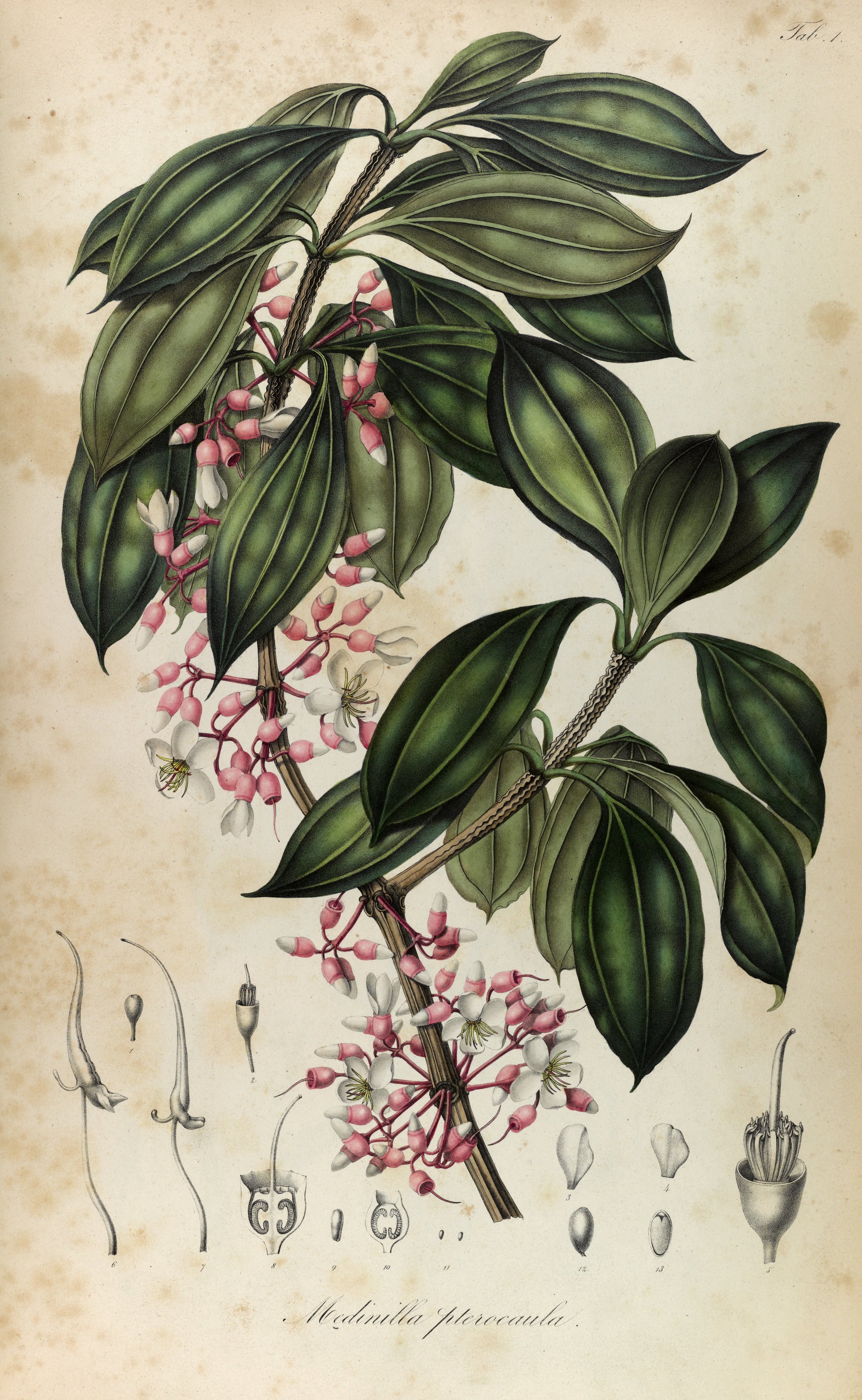 no full size  illustration available (3a)