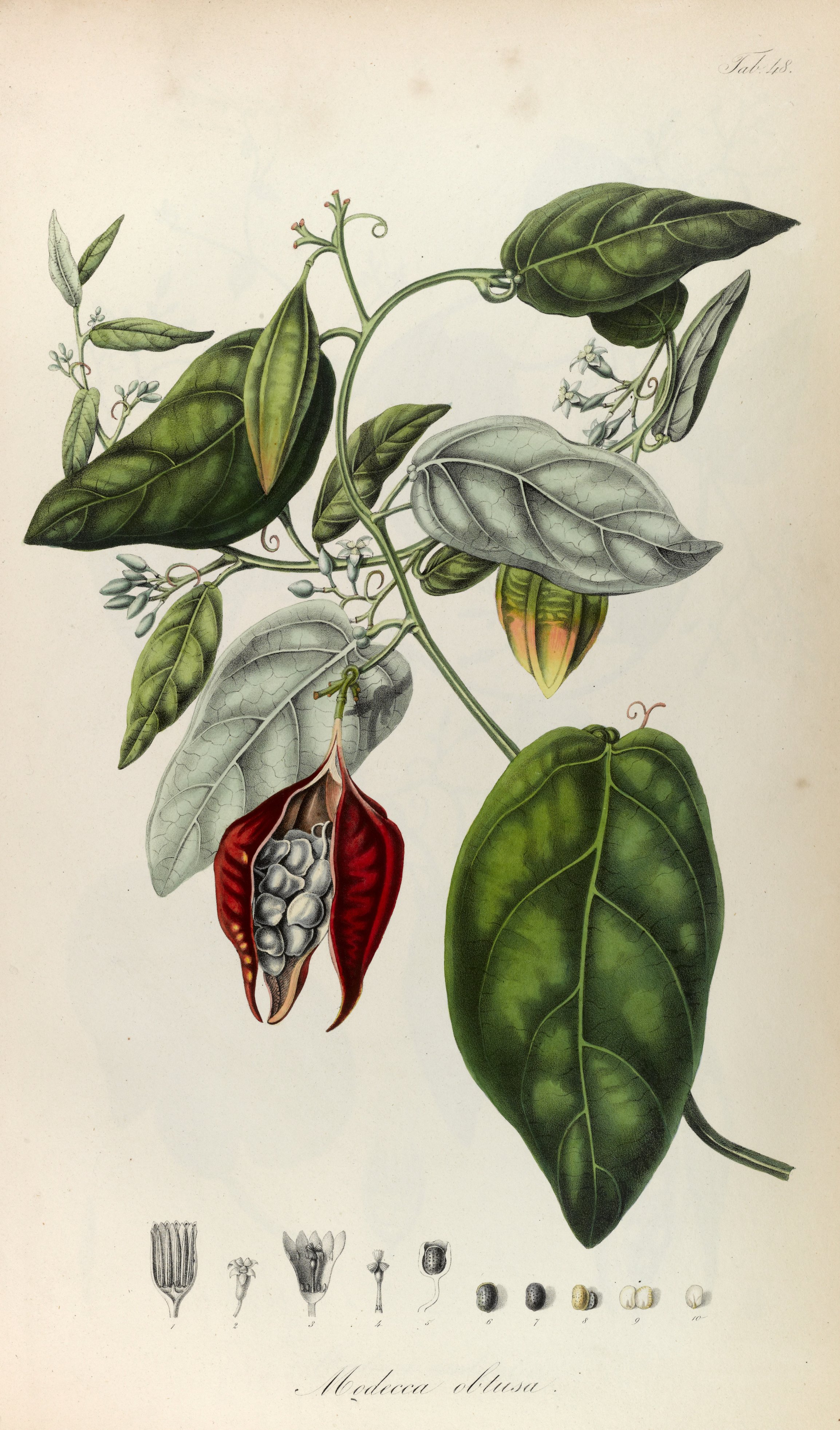 no full size  illustration available (3a)