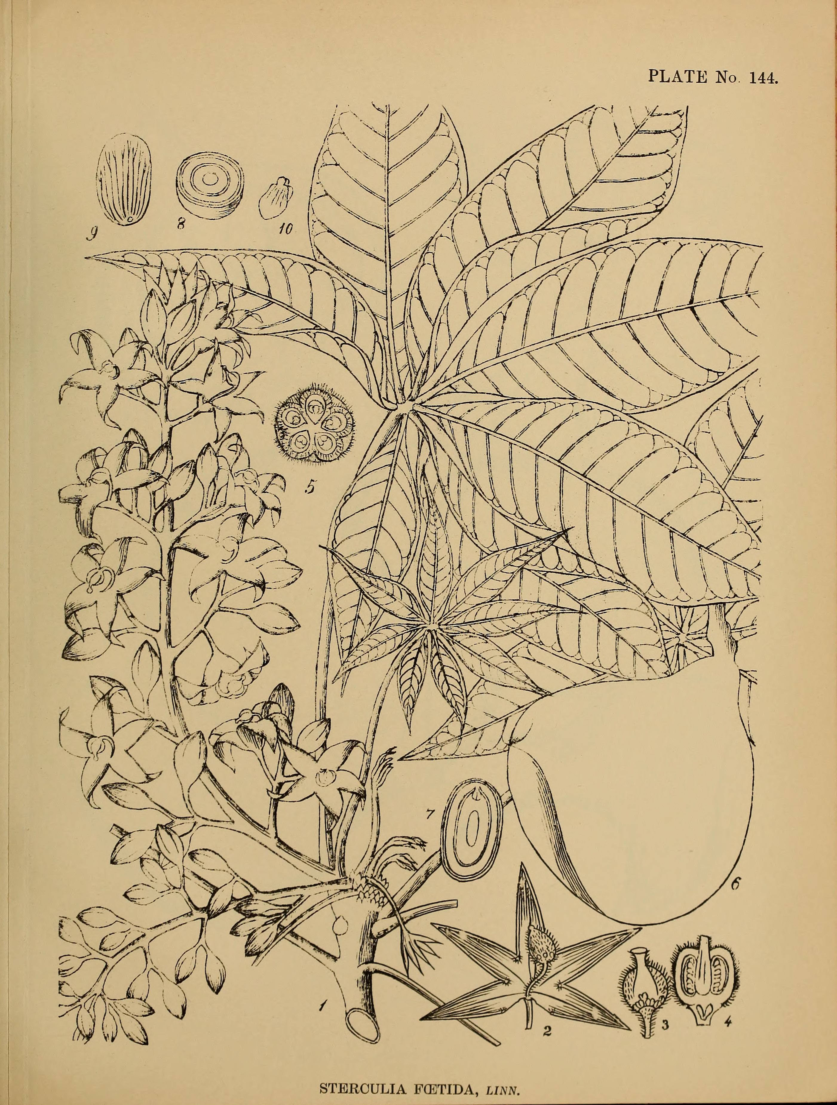 no full size  illustration available (3a)