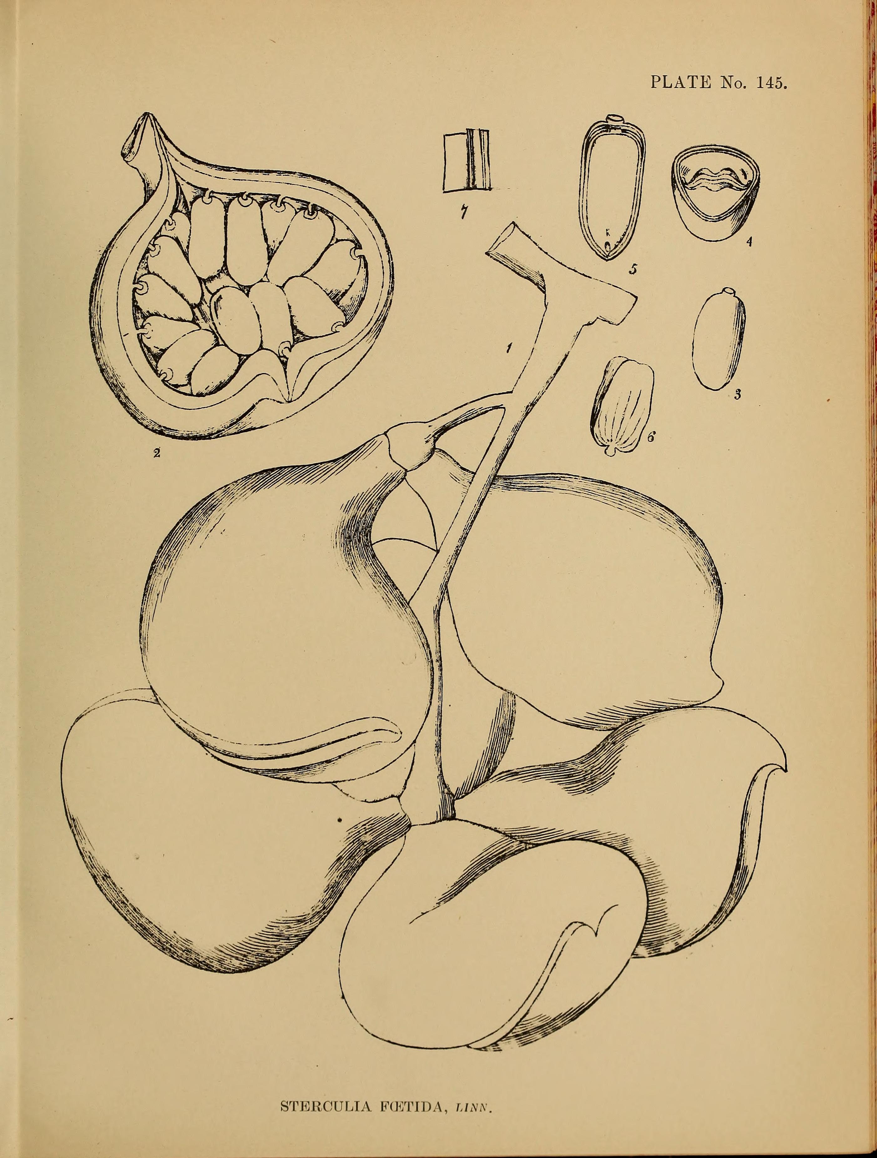 no full size  illustration available (3a)