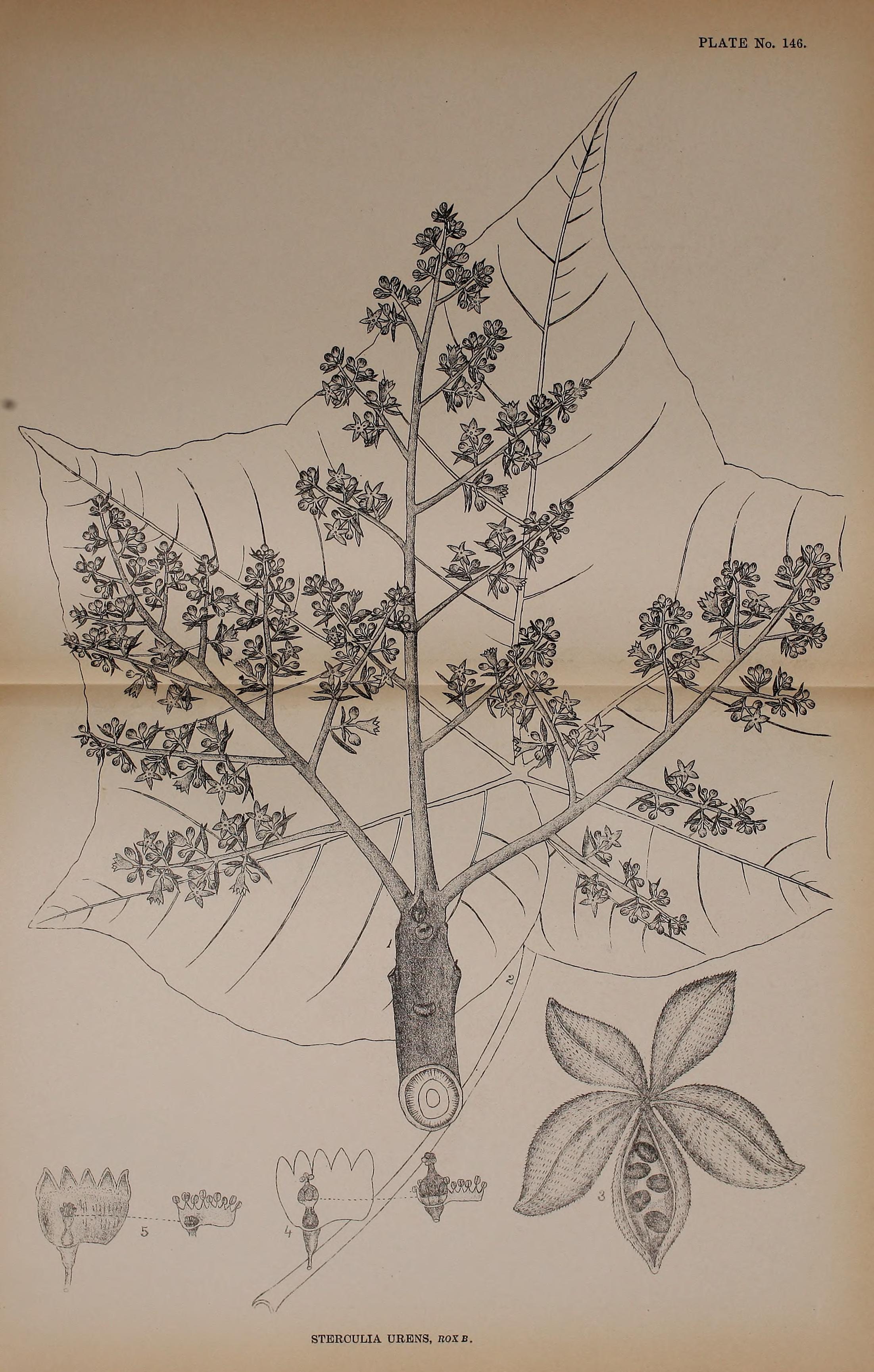 no full size  illustration available (3a)