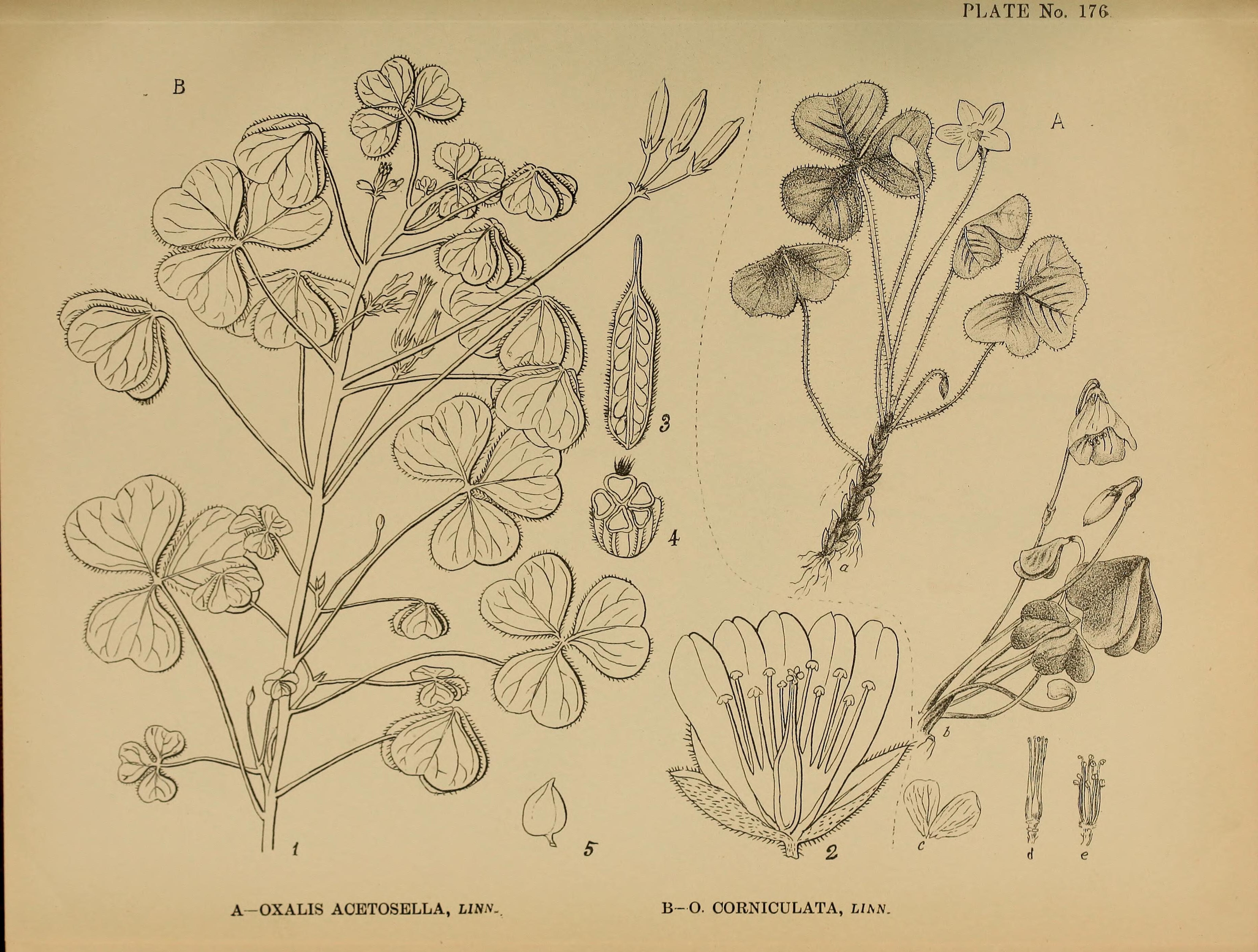 no full size  illustration available (3a)