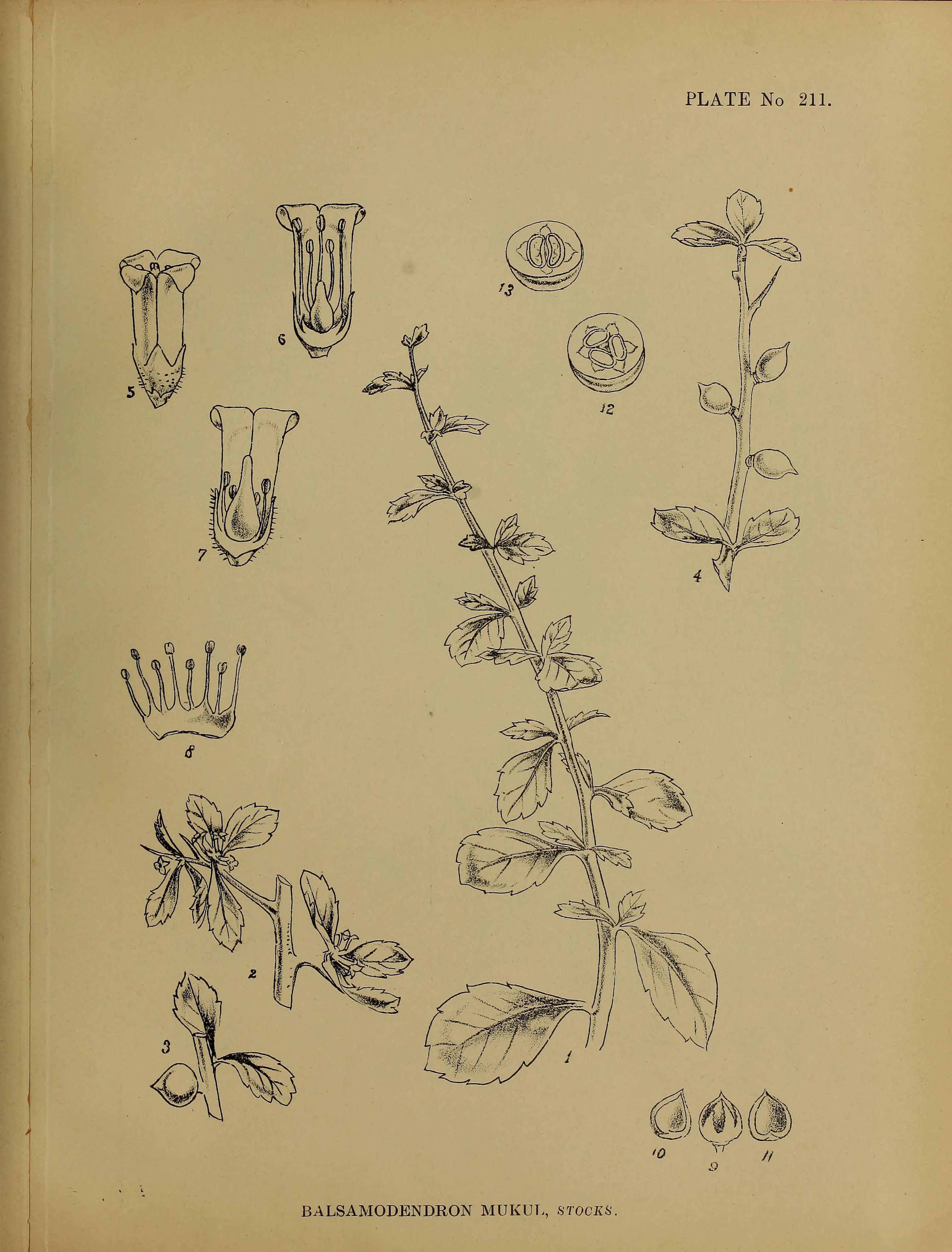 no full size  illustration available (3a)