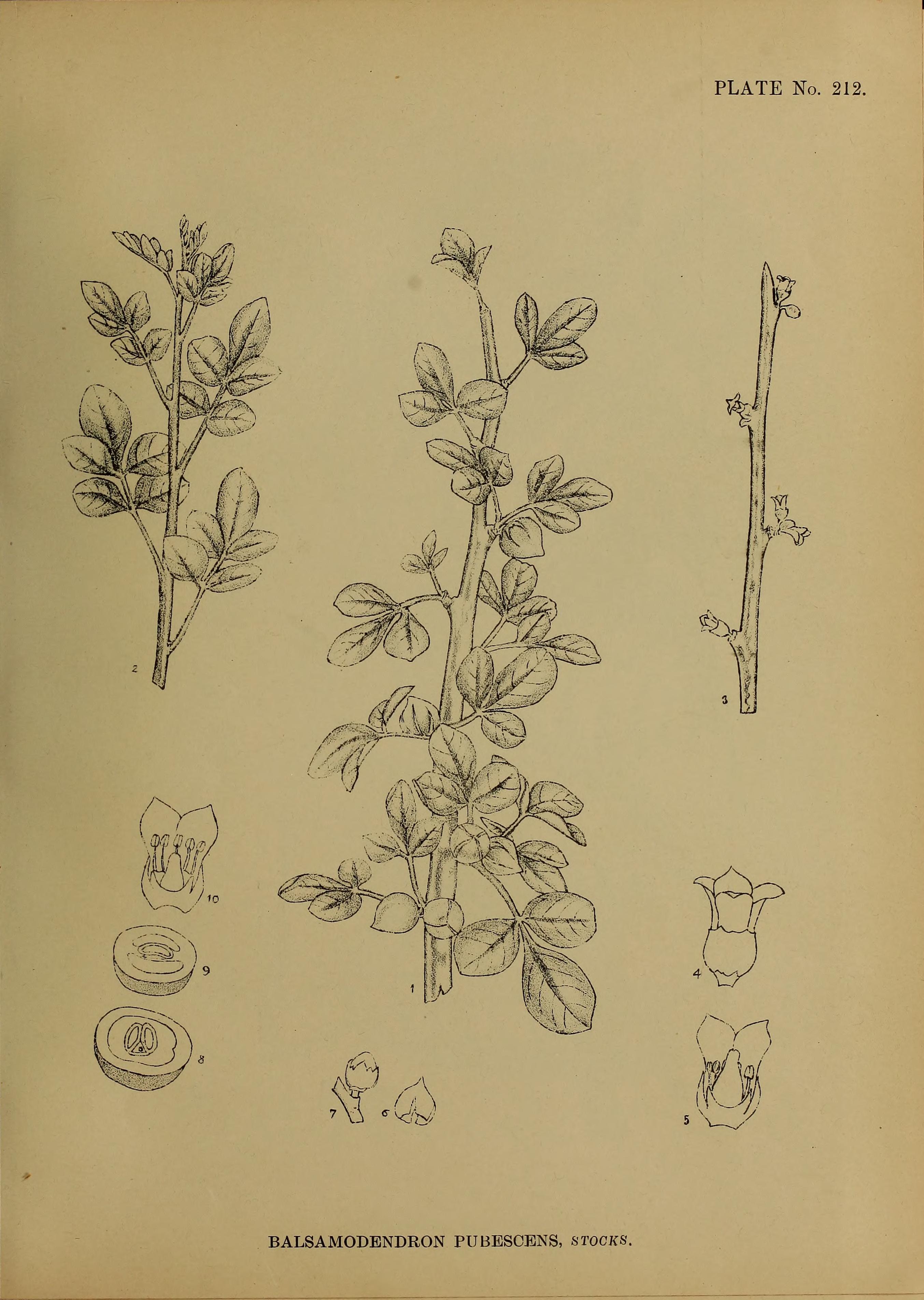 no full size  illustration available (3a)