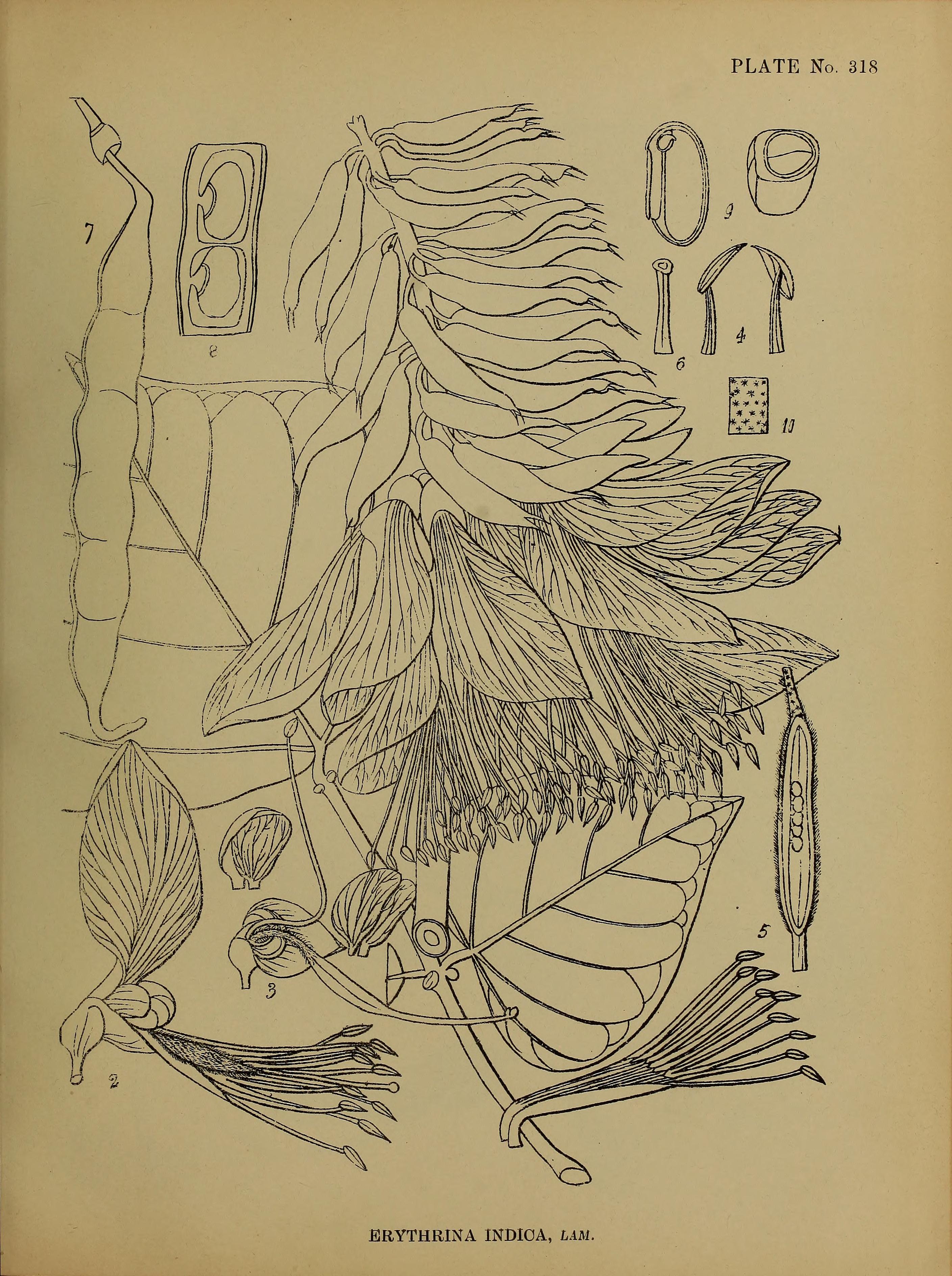 no full size  illustration available (3a)