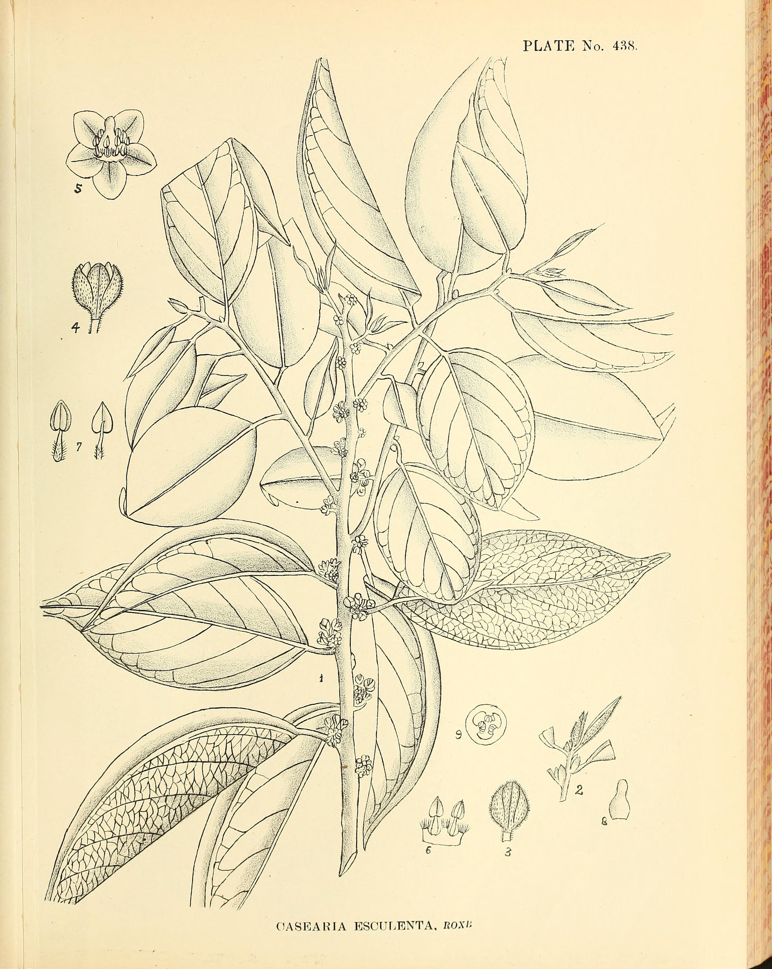 no full size  illustration available (3a)