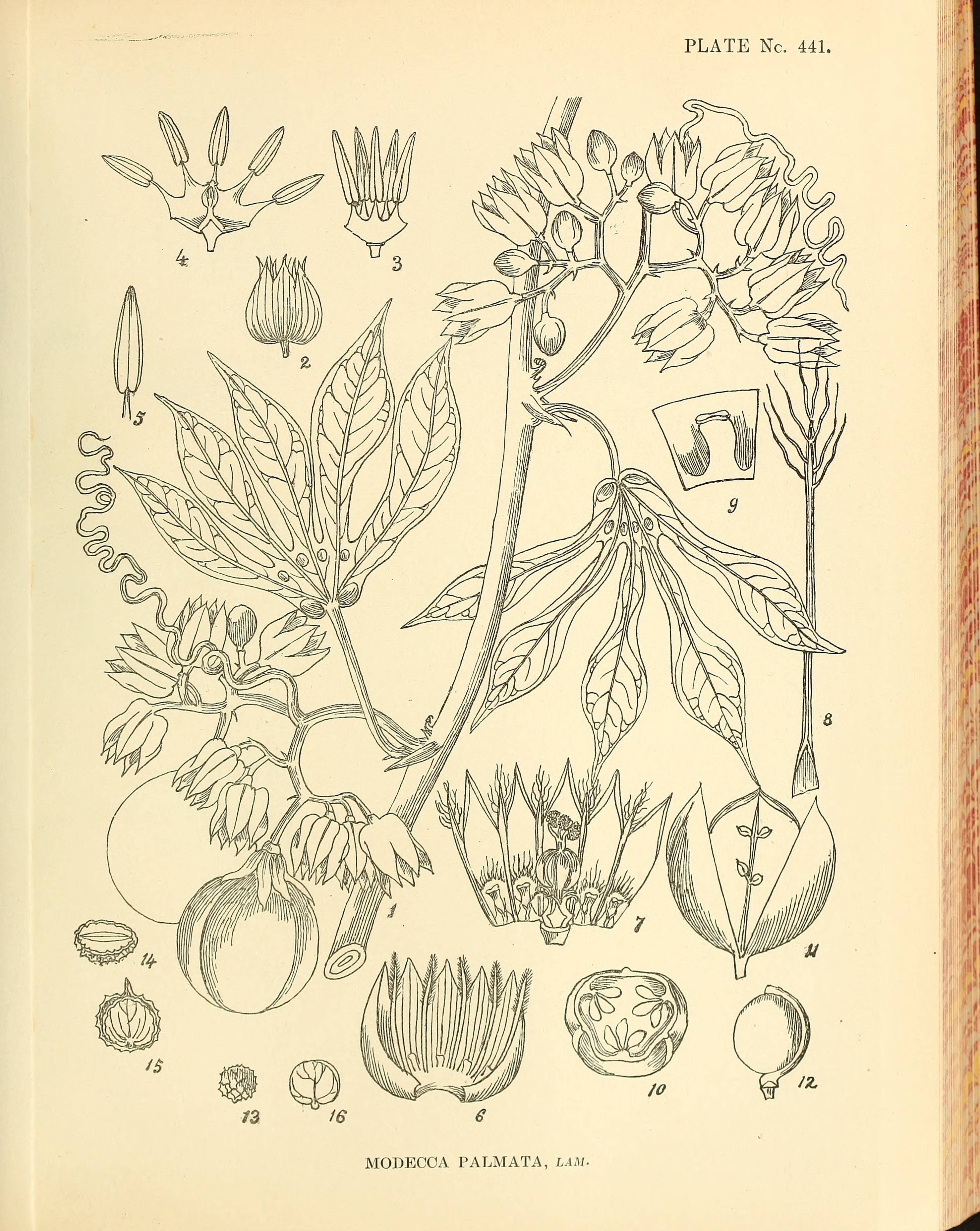 no full size  illustration available (3a)