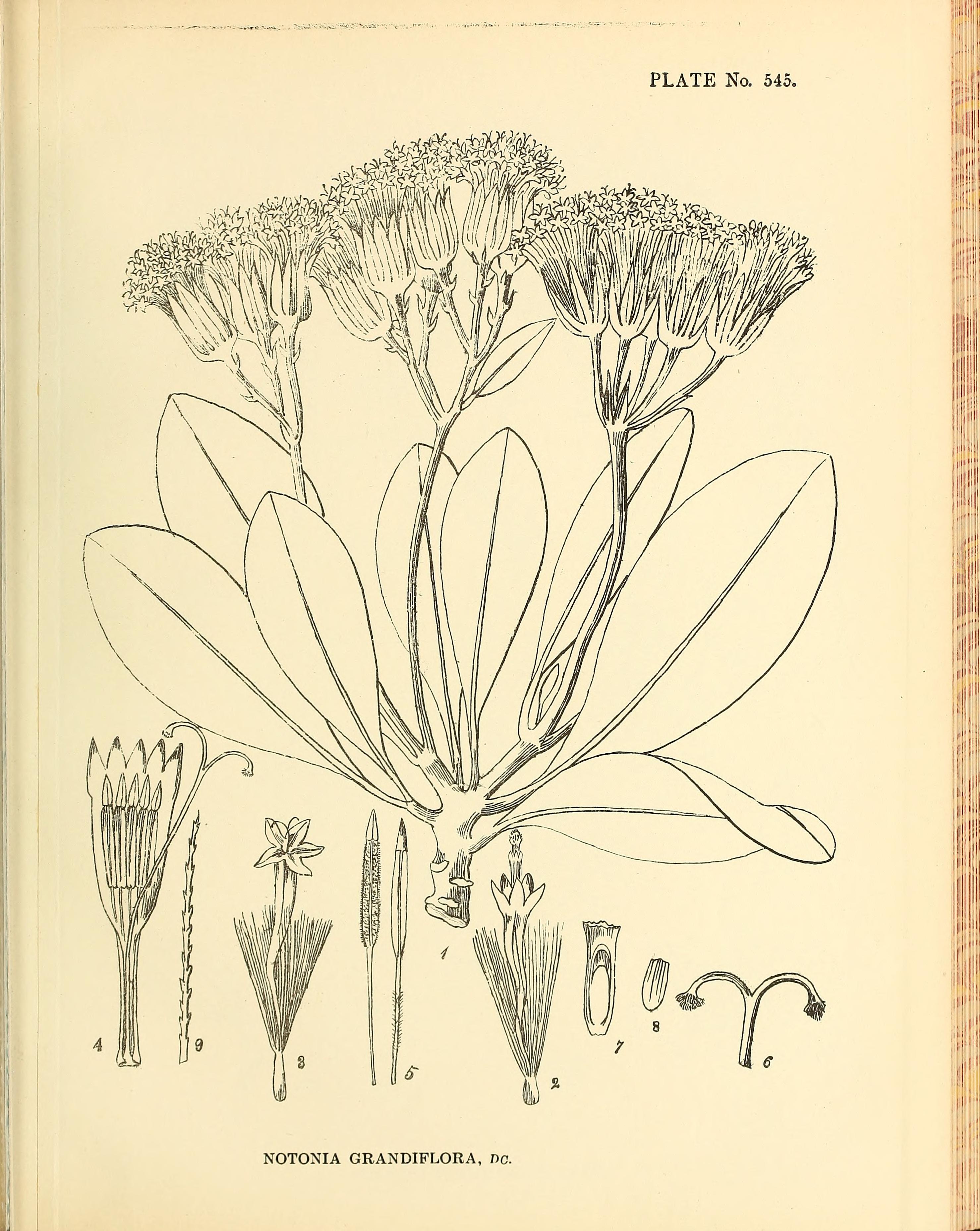 no full size  illustration available (3a)