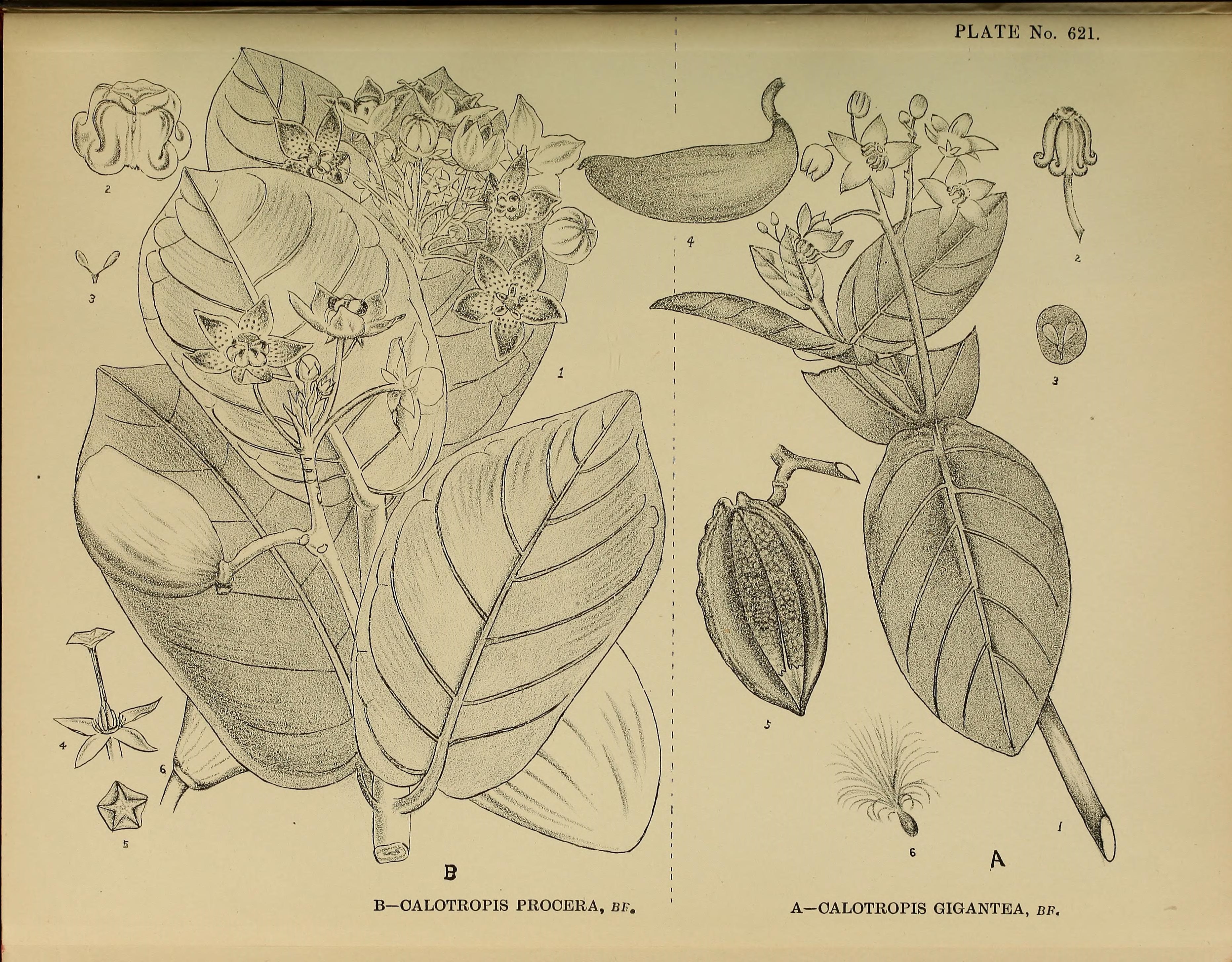 no full size  illustration available (3a)