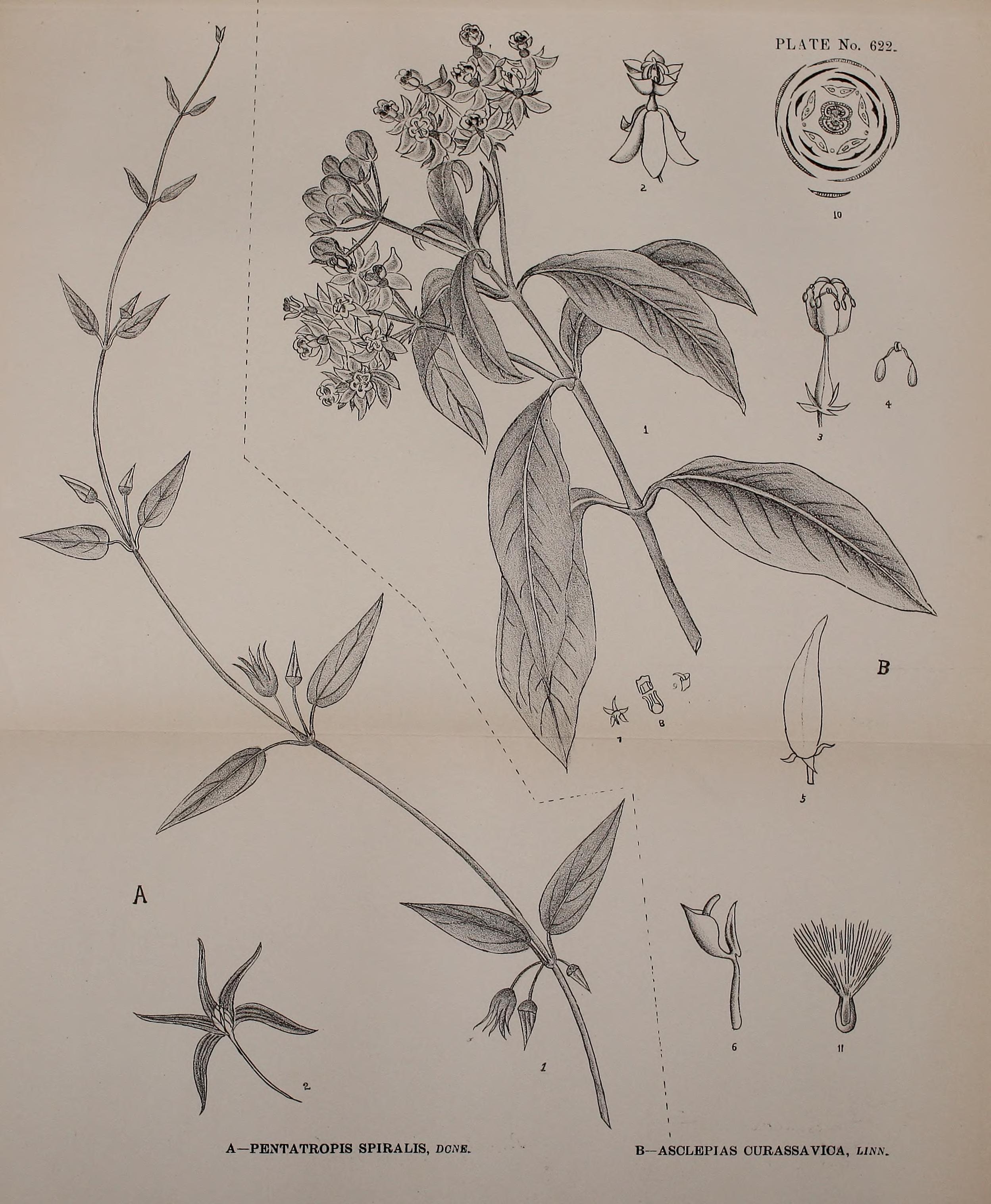 no full size  illustration available (3a)