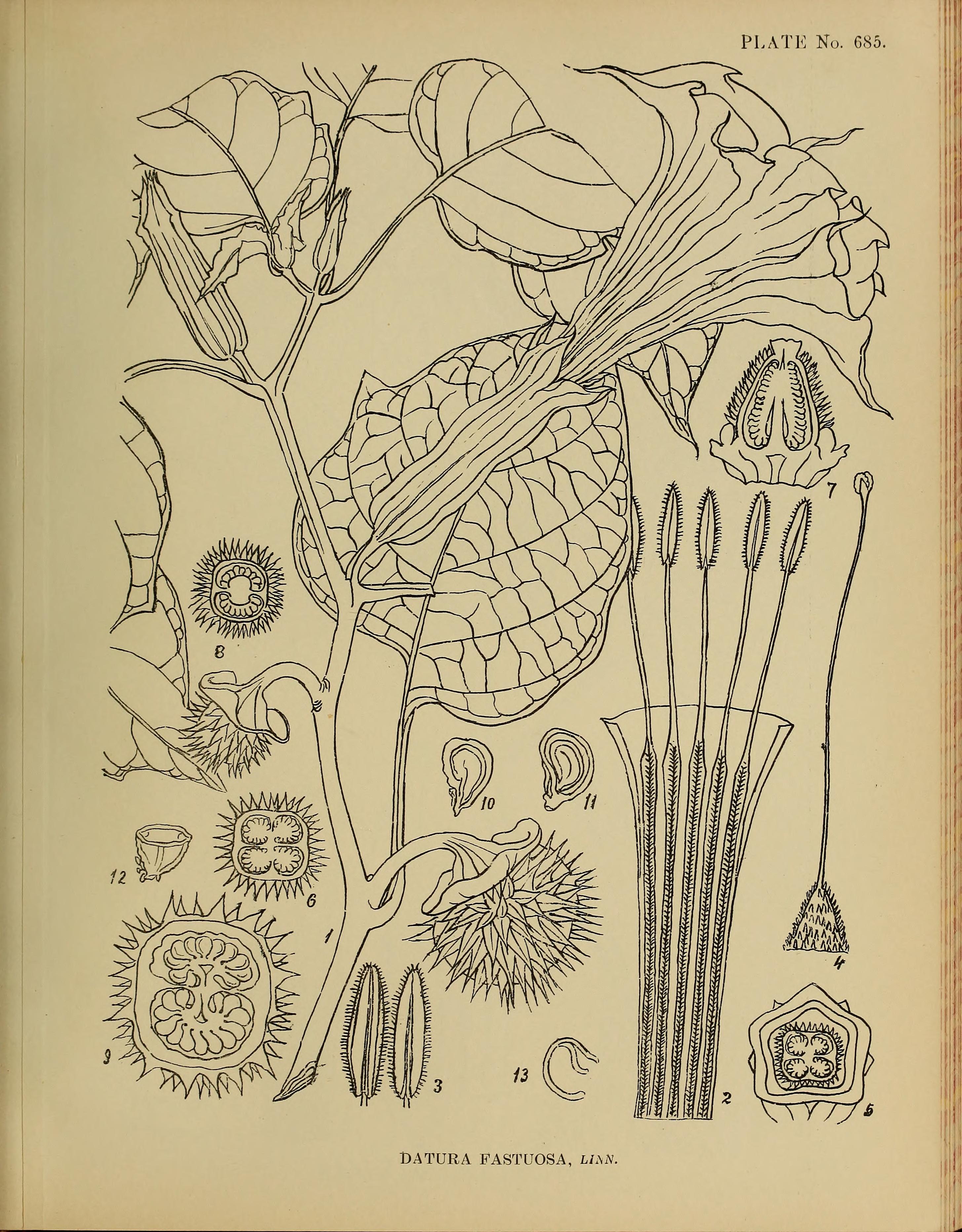 no full size  illustration available (3a)