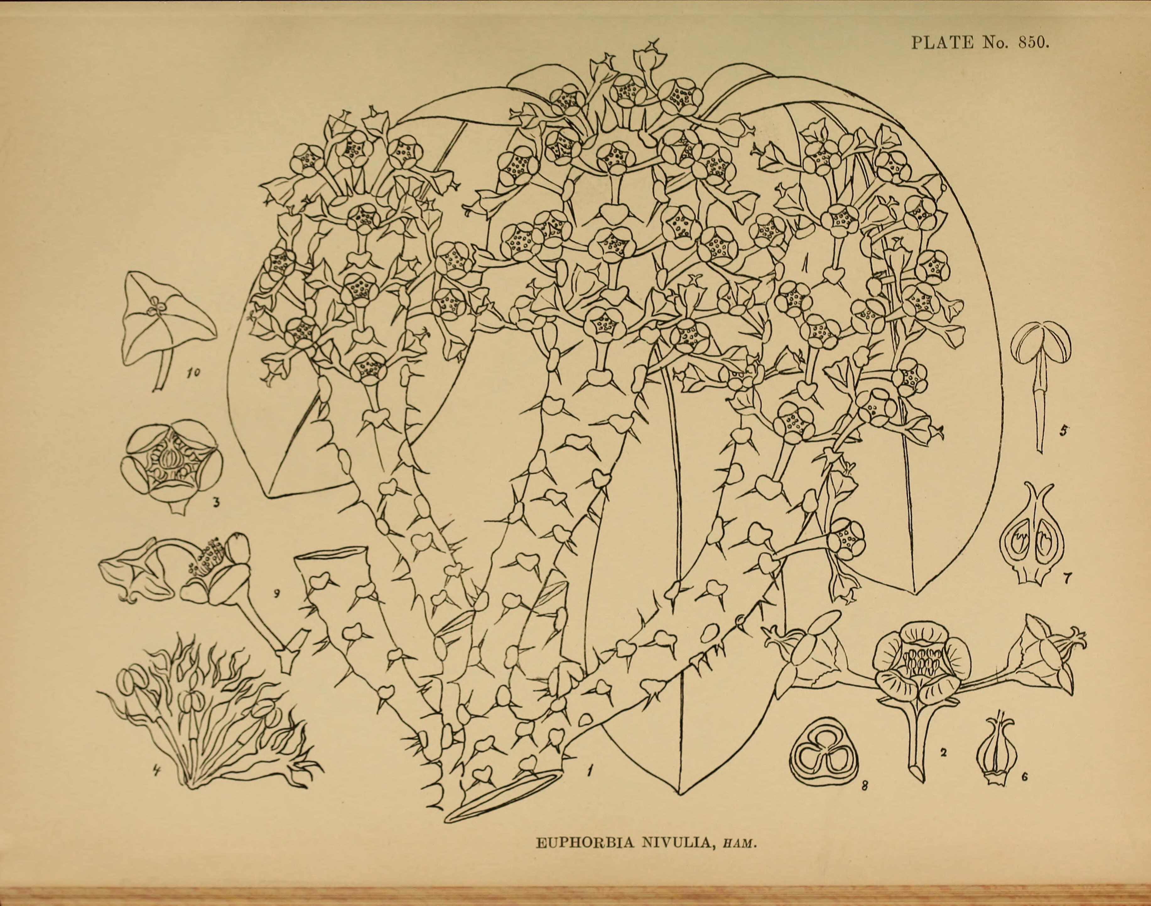 no full size  illustration available (3a)