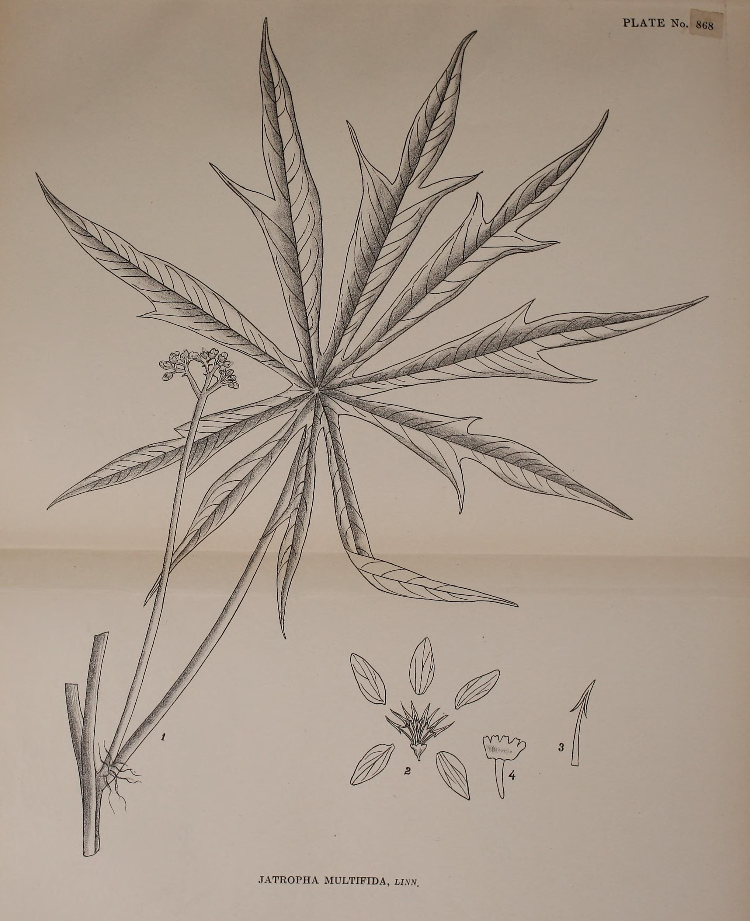 no full size  illustration available (3a)