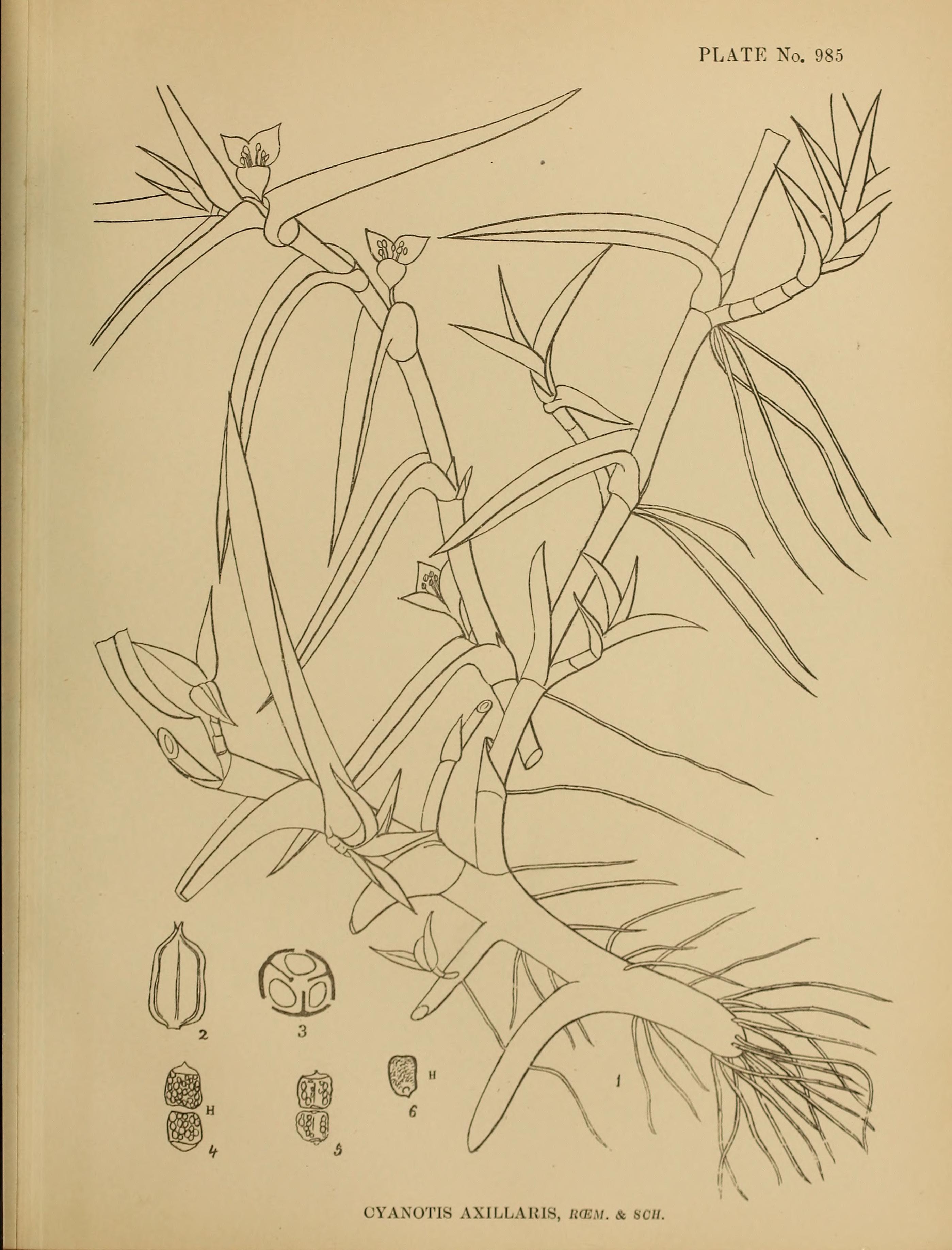 no full size  illustration available (3a)