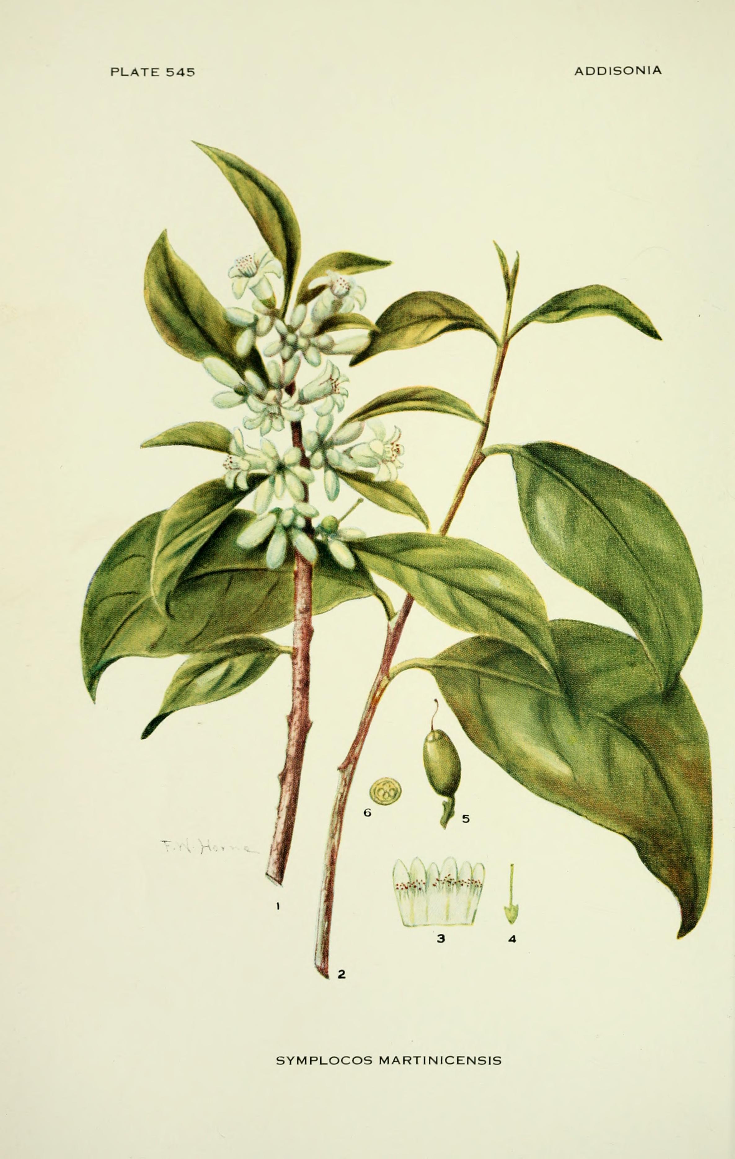 no full size  illustration available (3a)