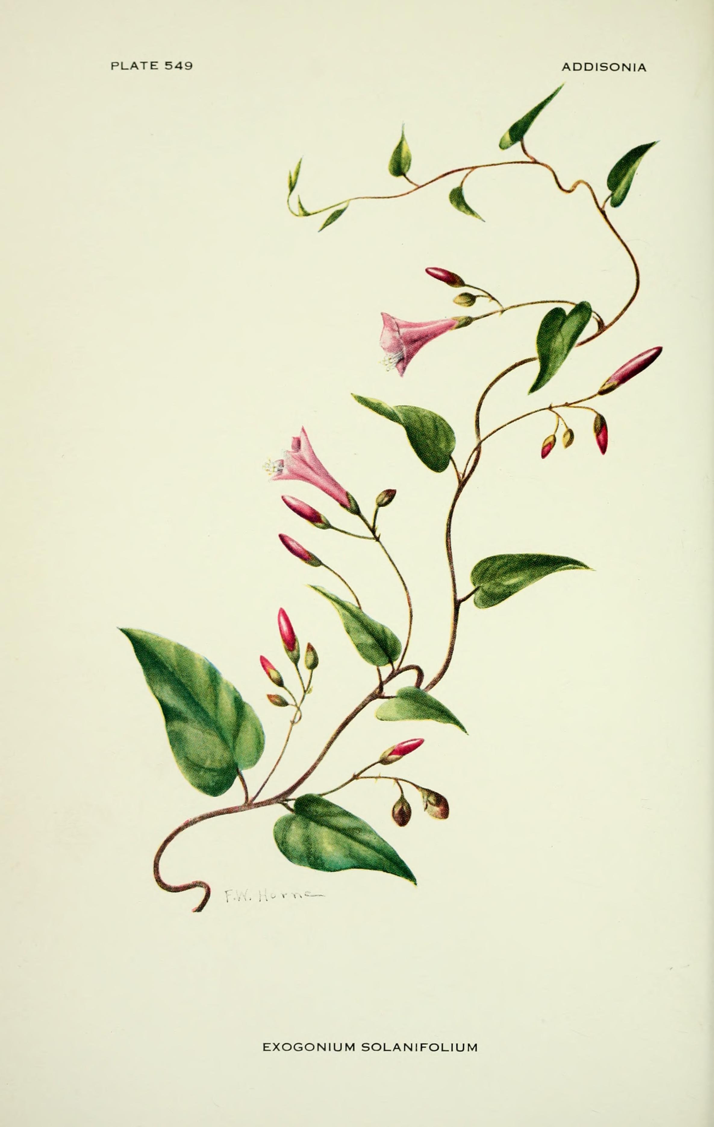 no full size  illustration available (3a)