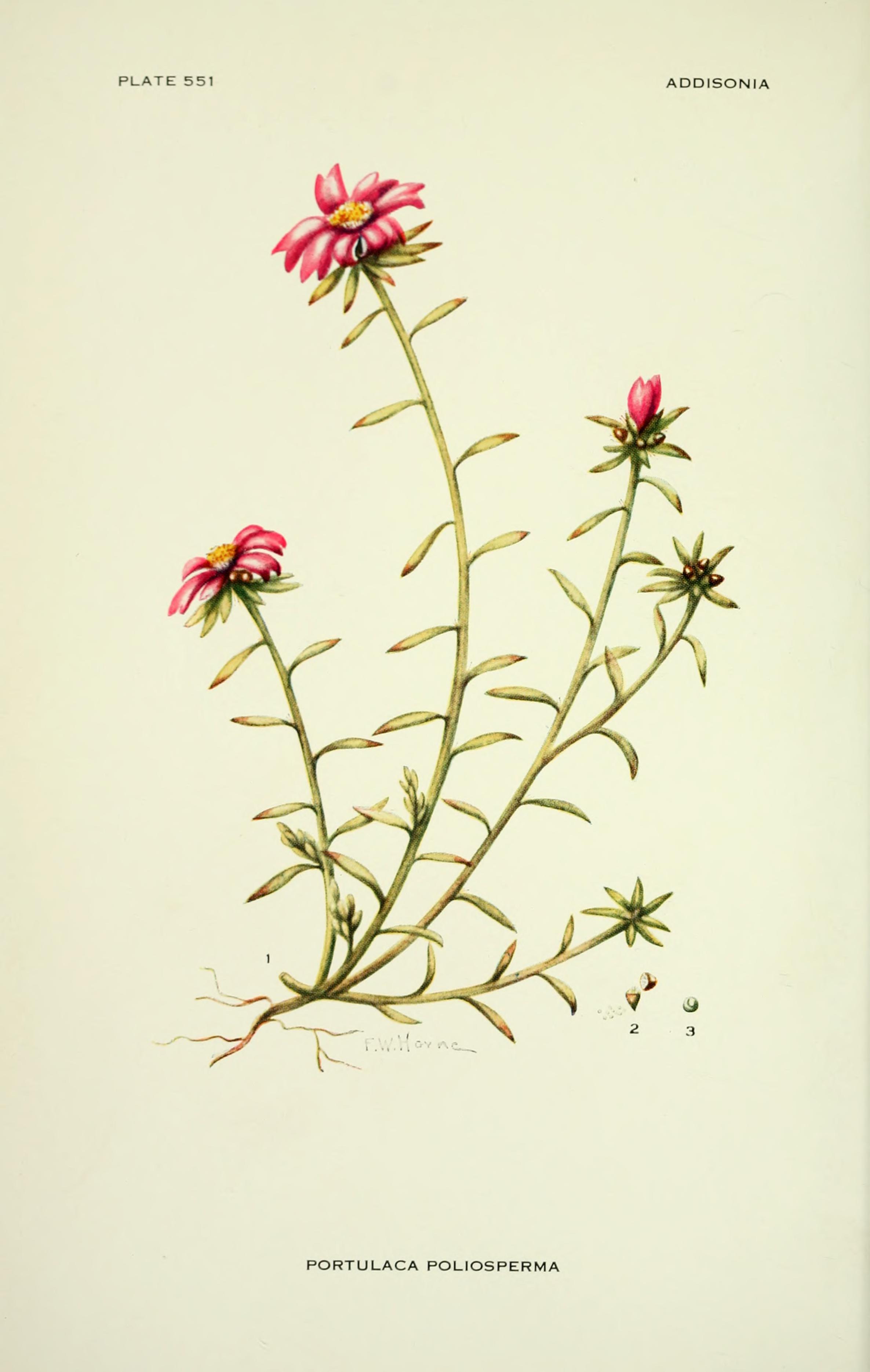 no full size  illustration available (3a)