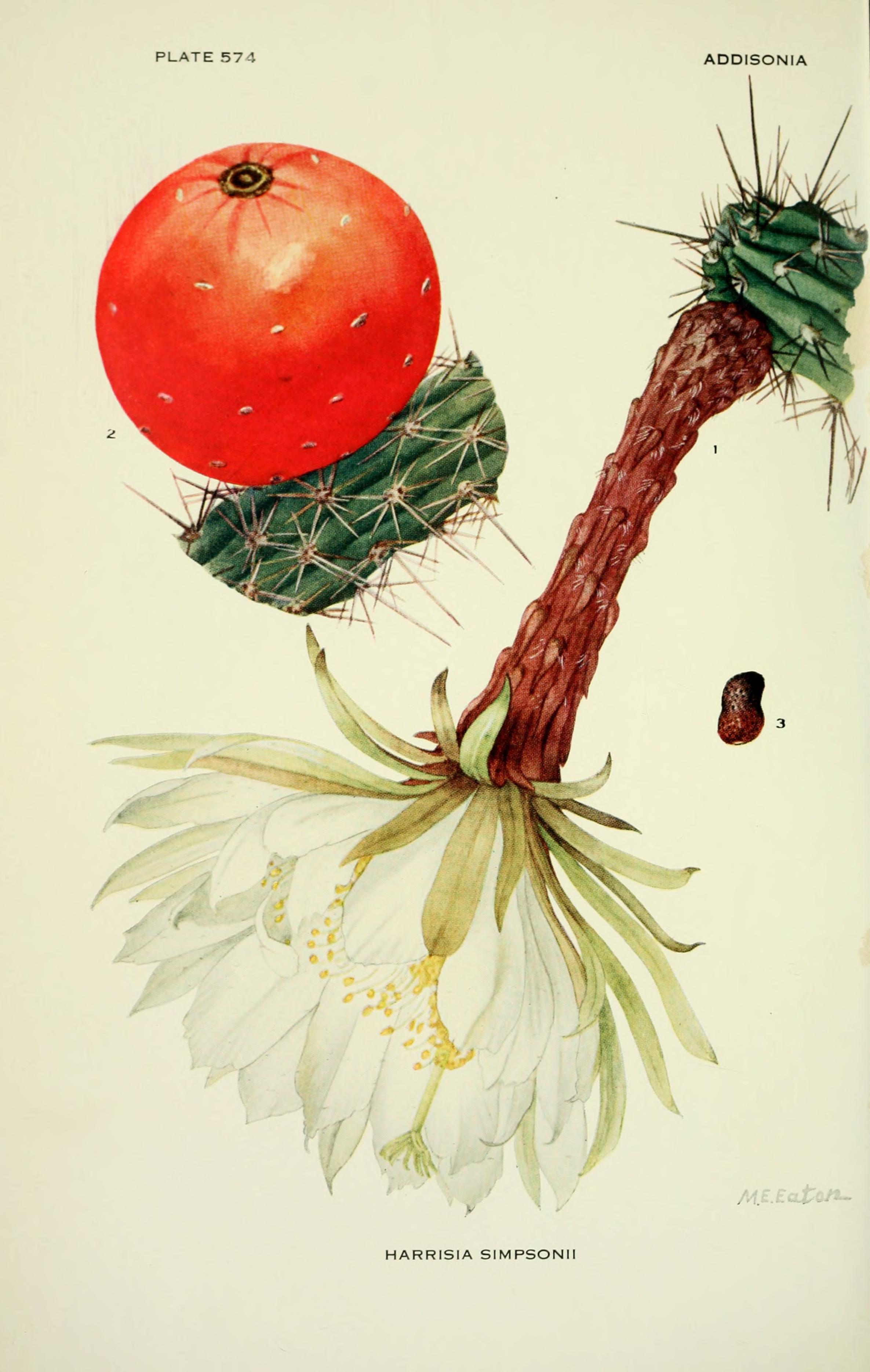 no full size  illustration available (3a)