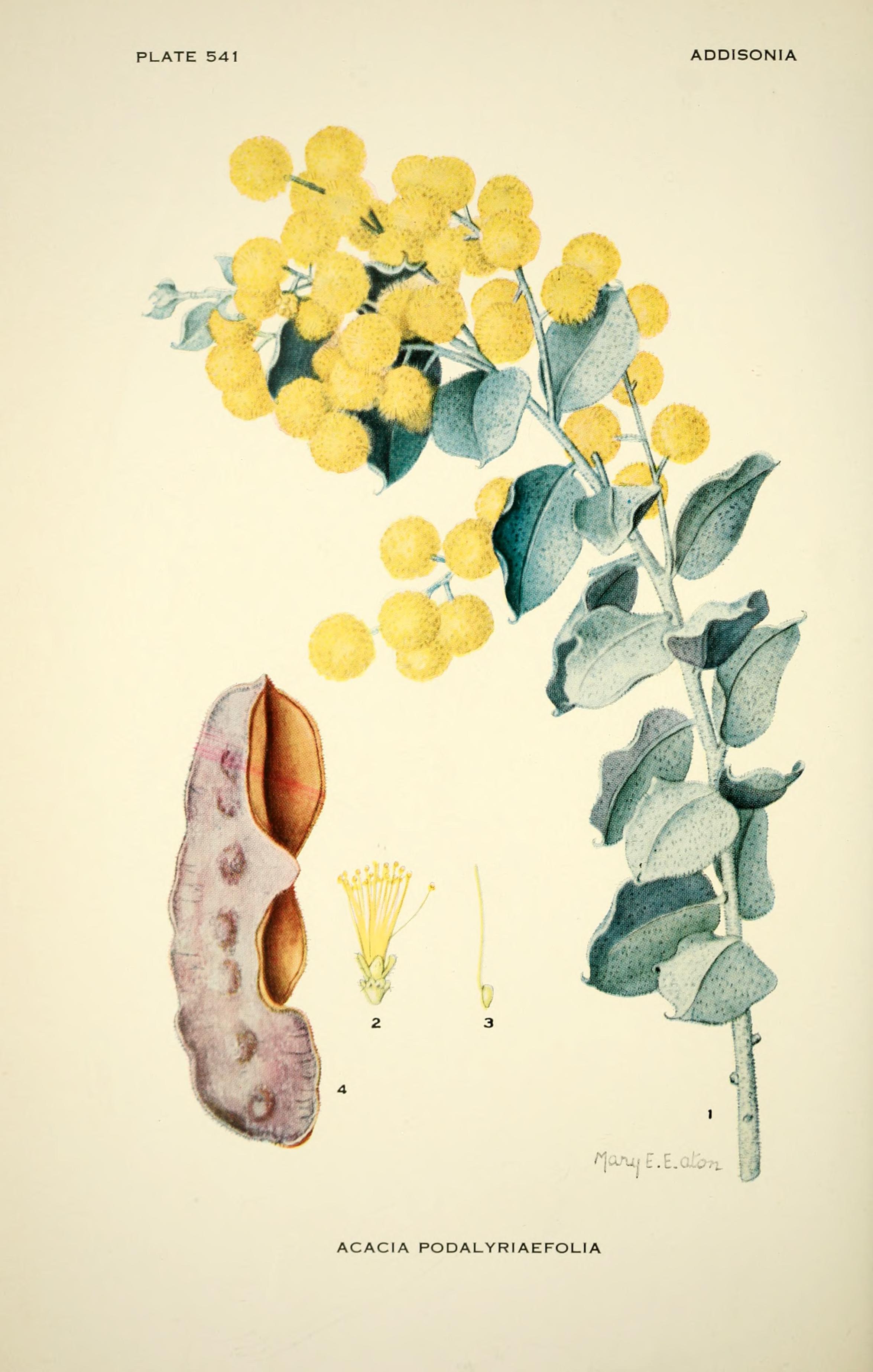 no full size  illustration available (3a)