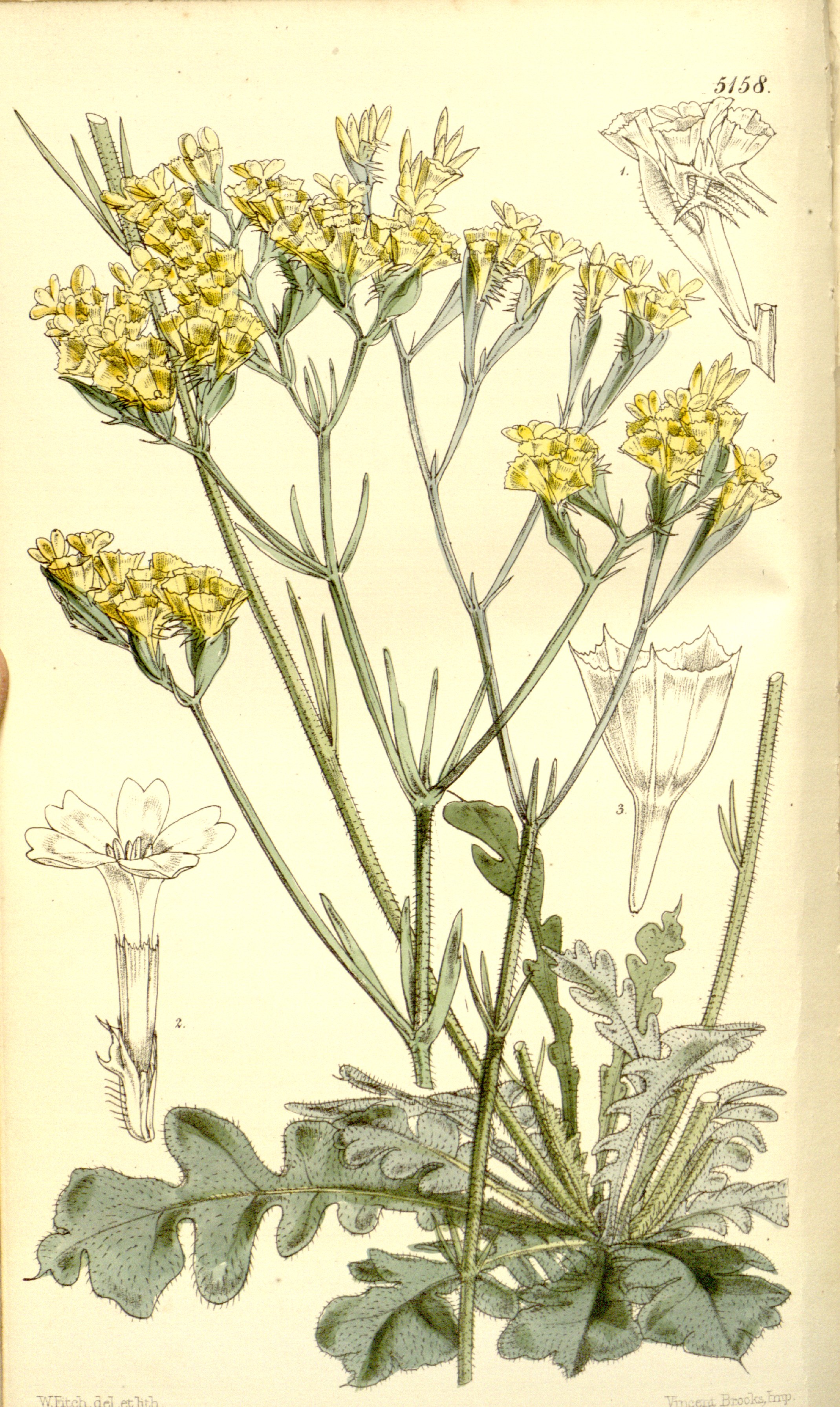 no full size  illustration available (3a)