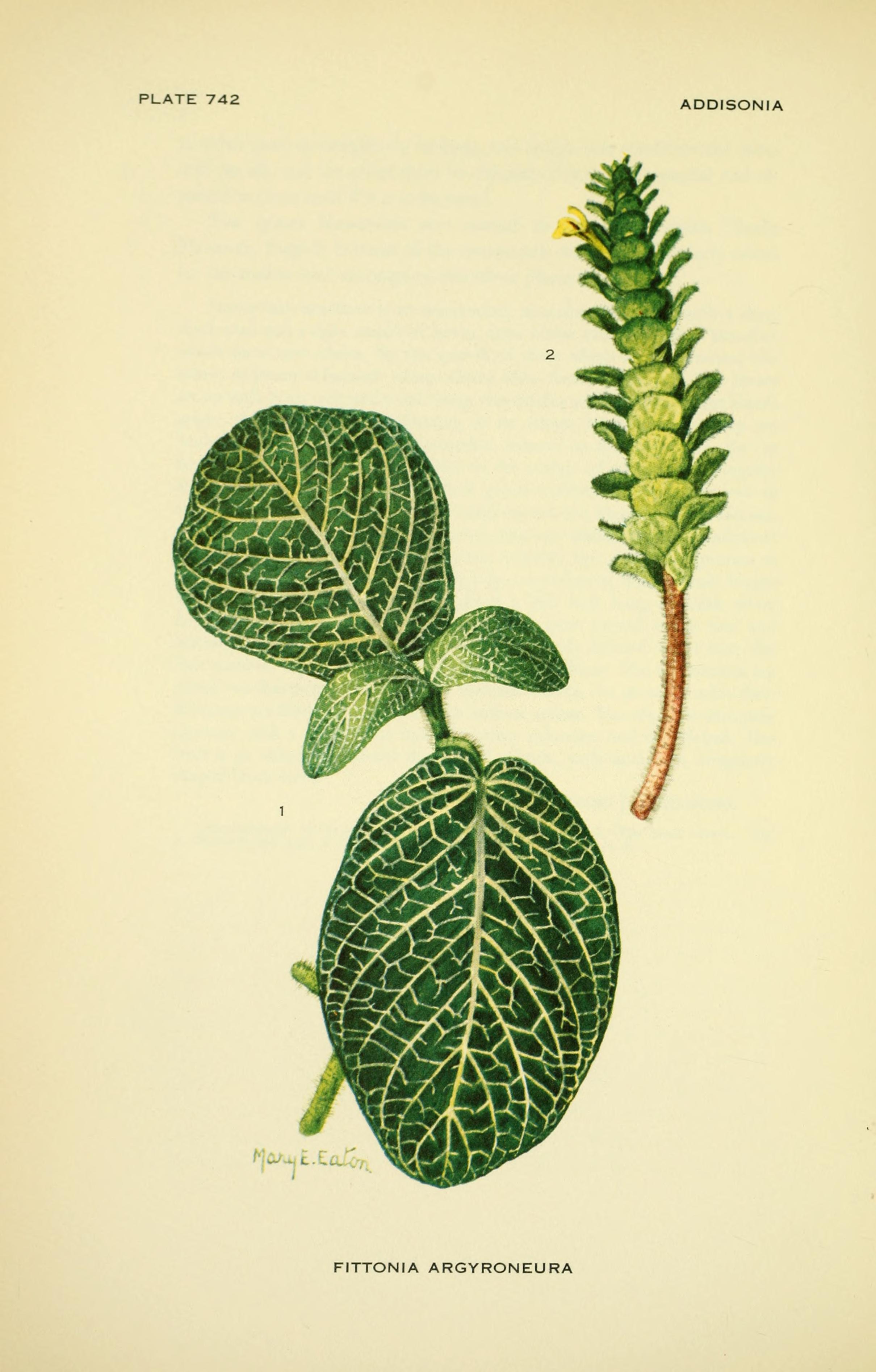 no full size  illustration available (3a)