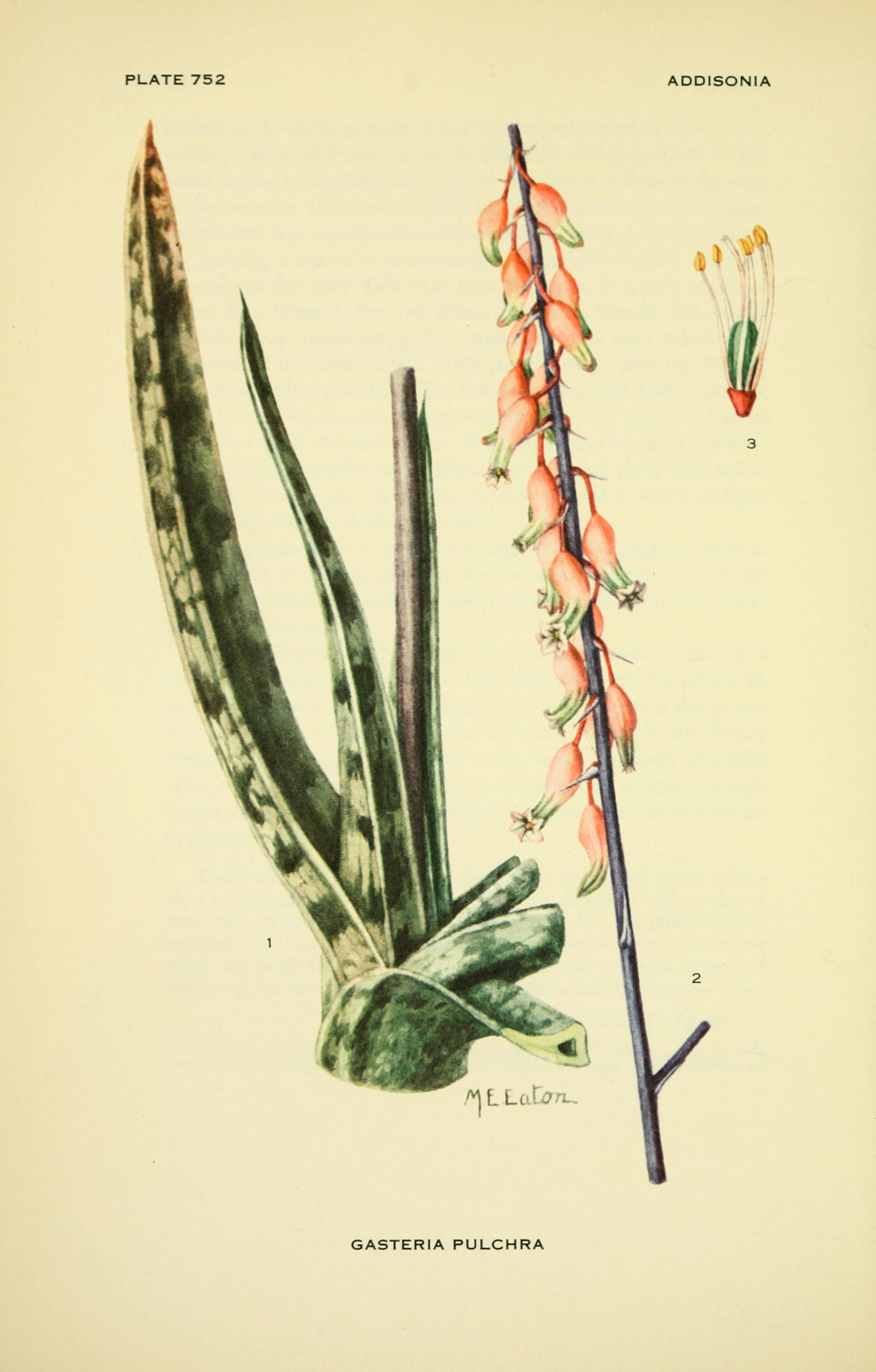 no full size  illustration available (3a)