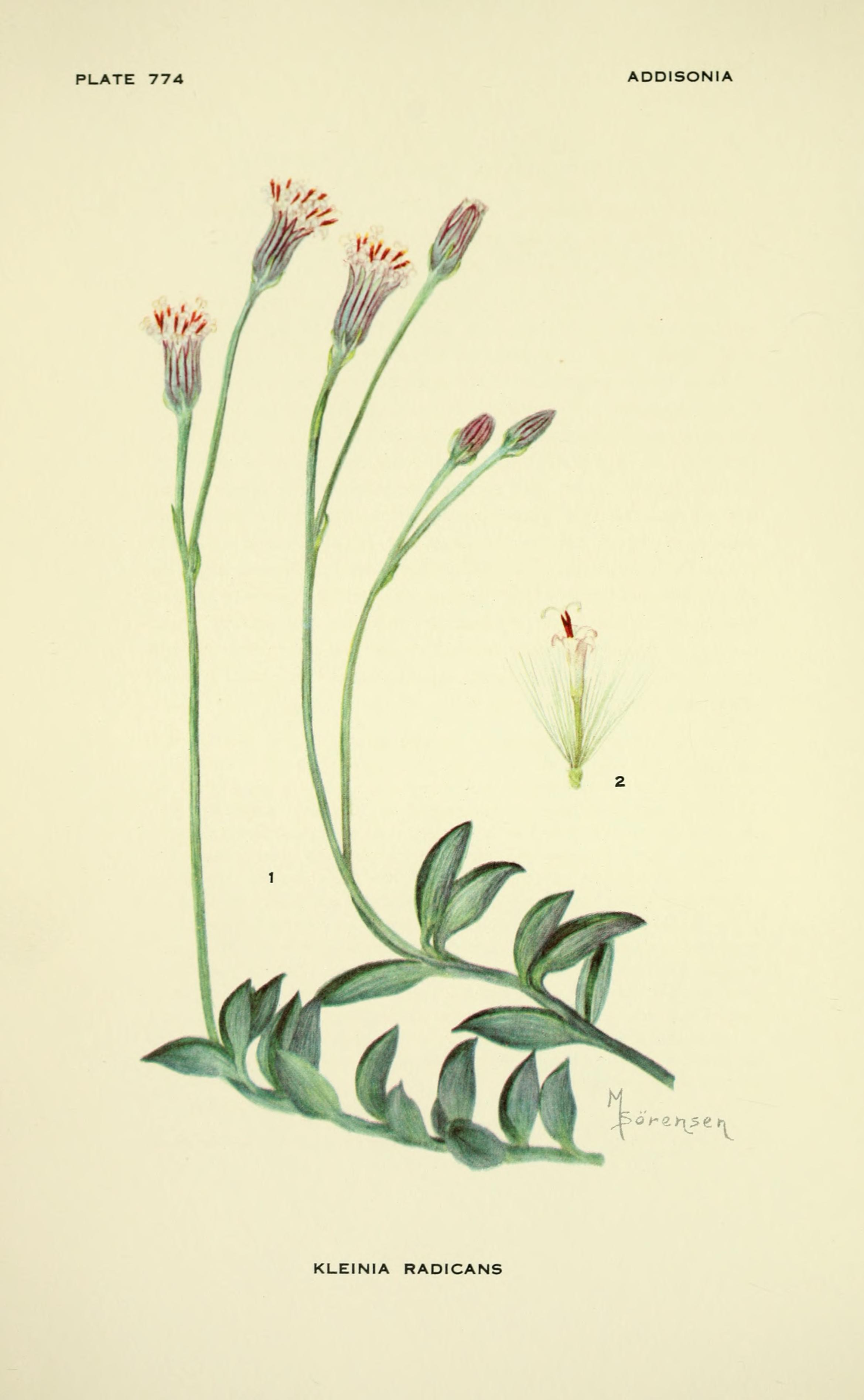 no full size  illustration available (3a)