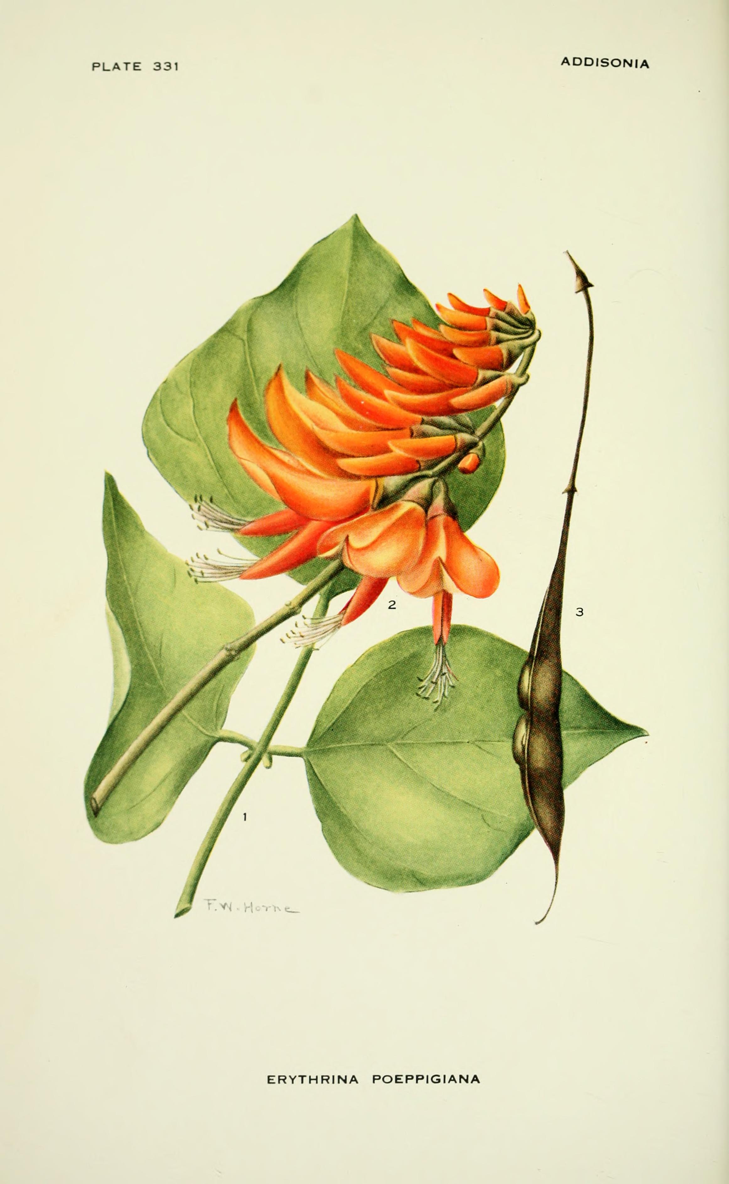 no full size  illustration available (3a)