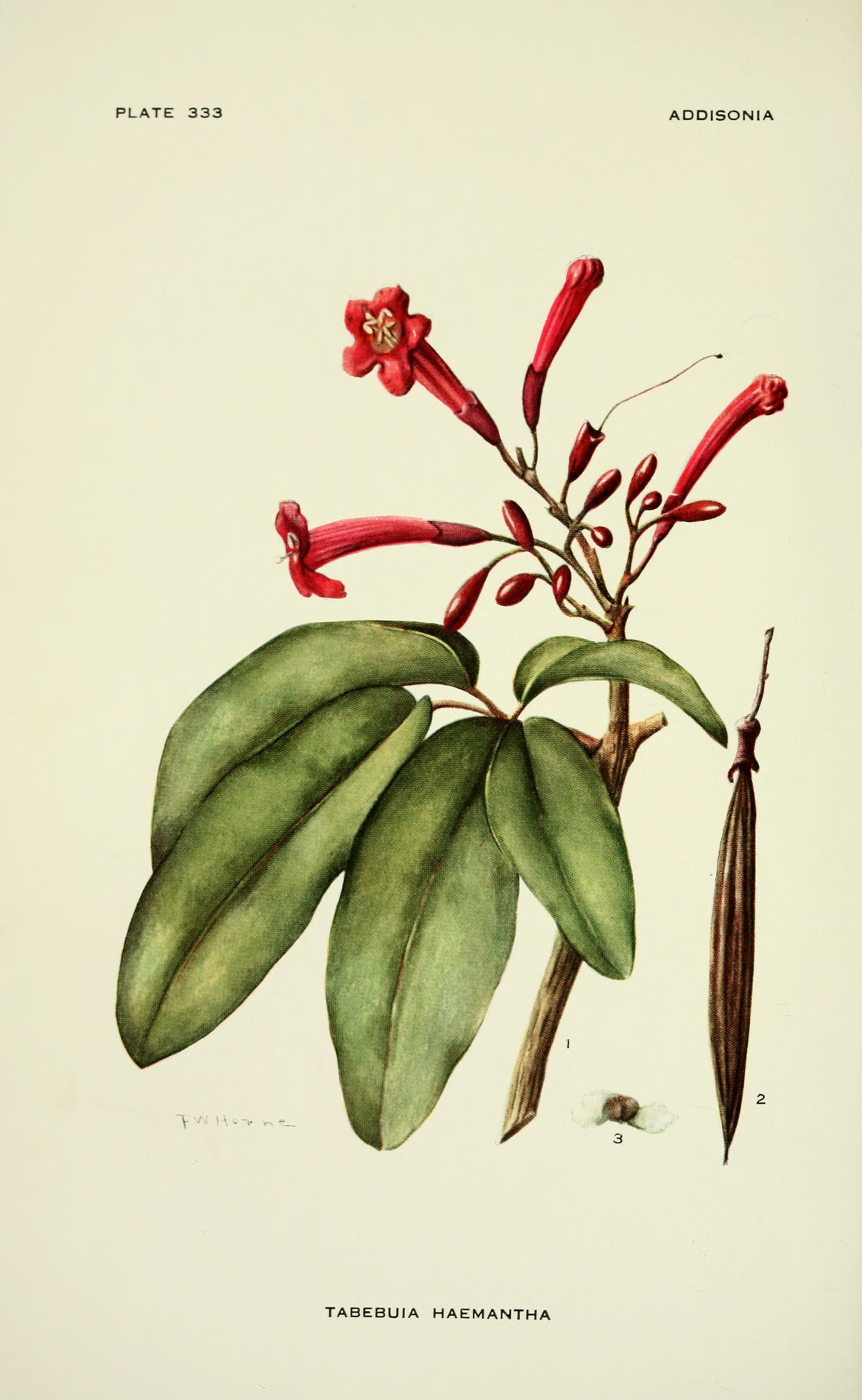 no full size  illustration available (3a)