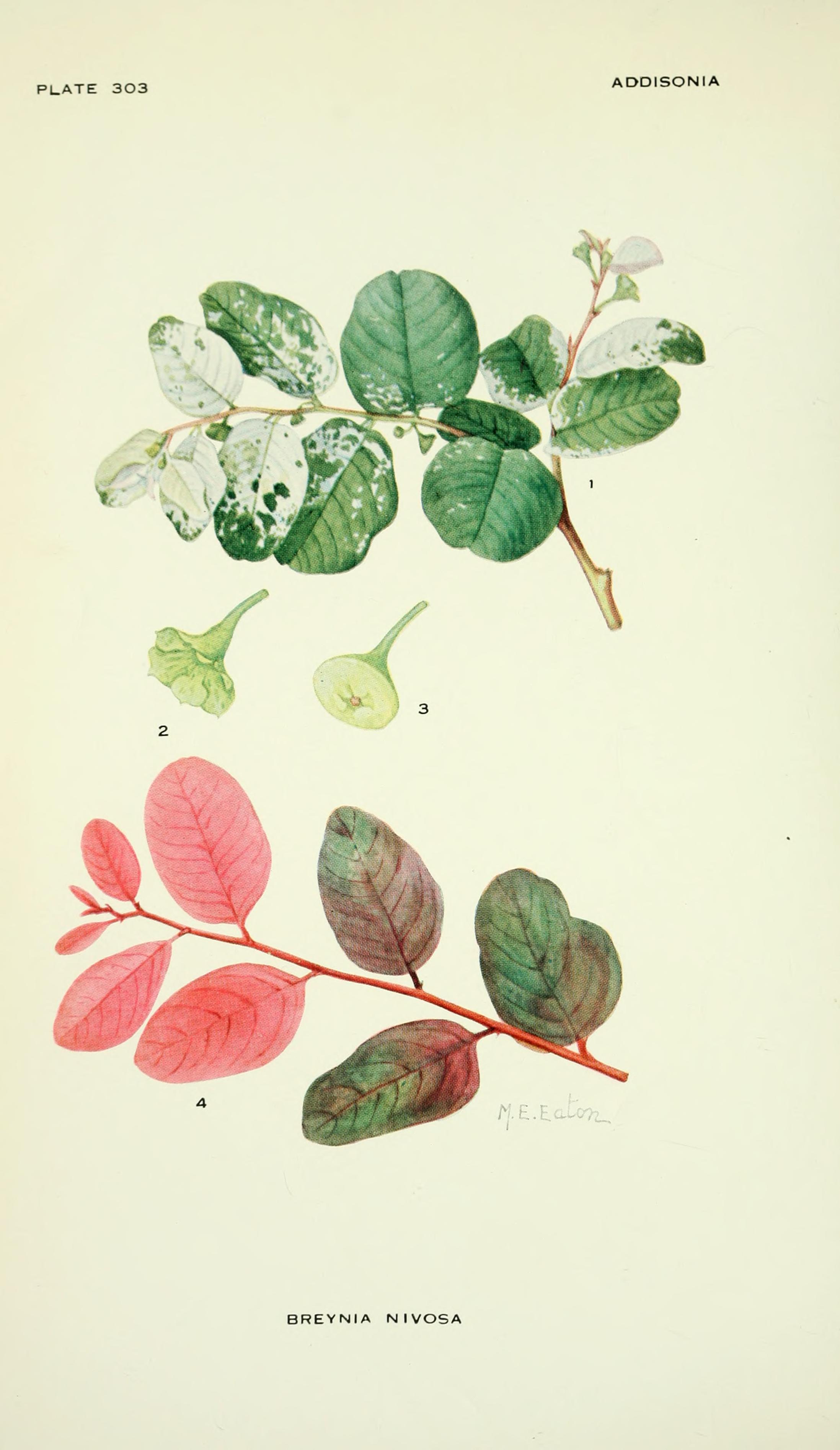 no full size  illustration available (3a)