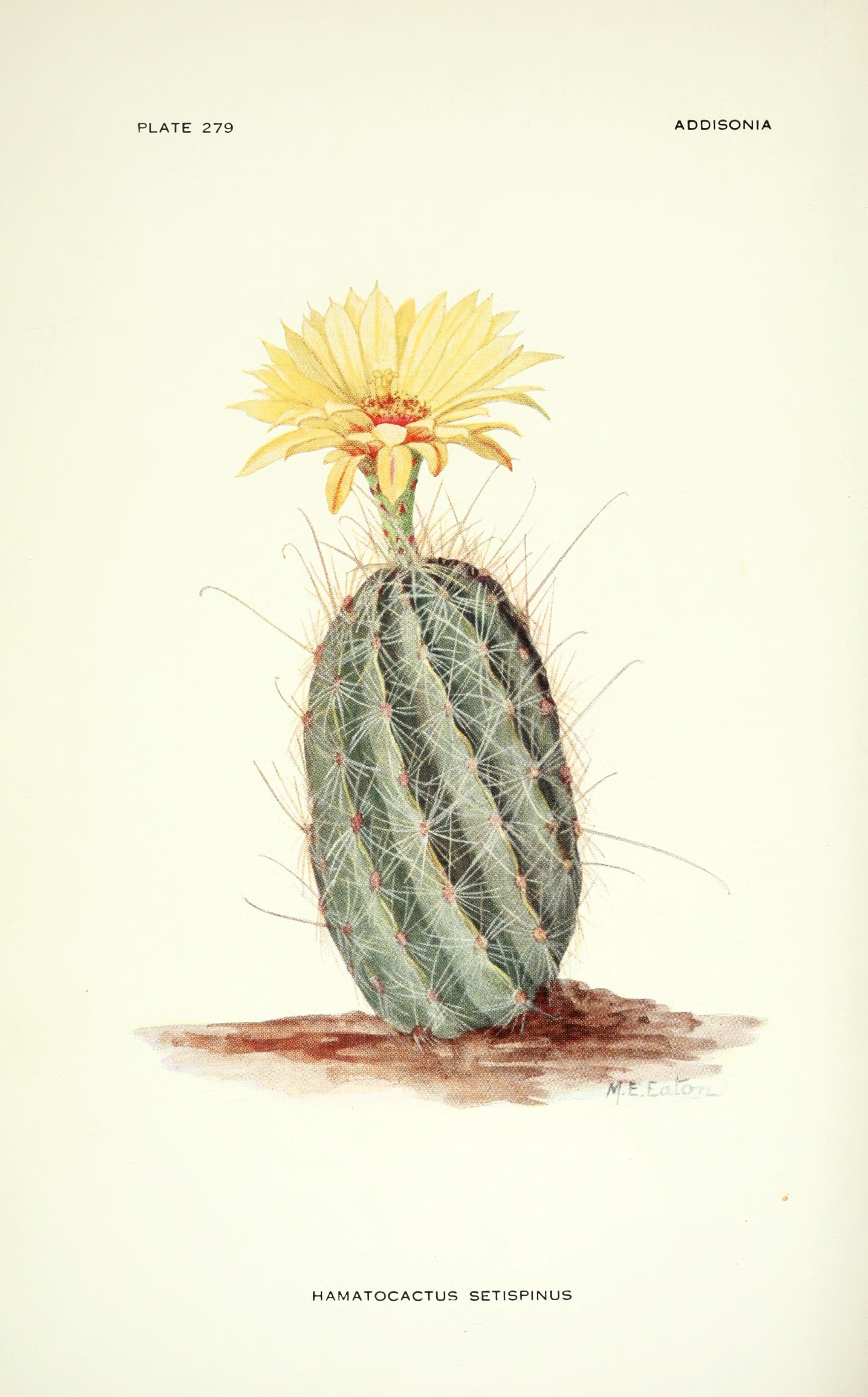 no full size  illustration available (3a)