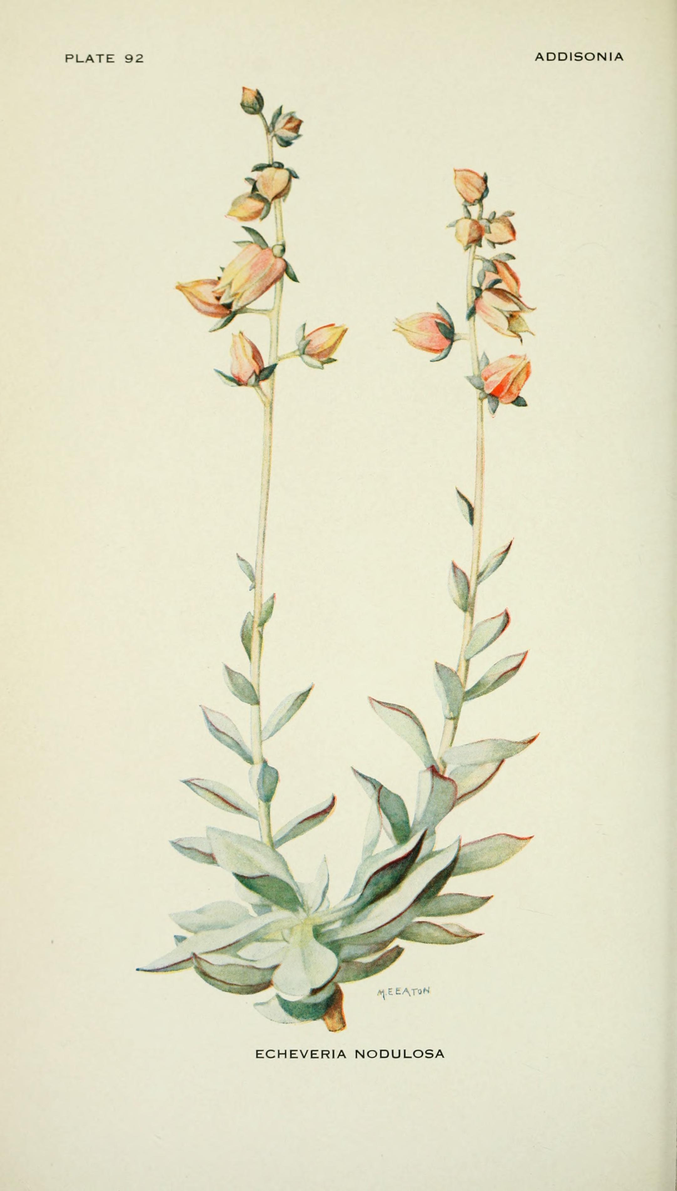 no full size  illustration available (3a)