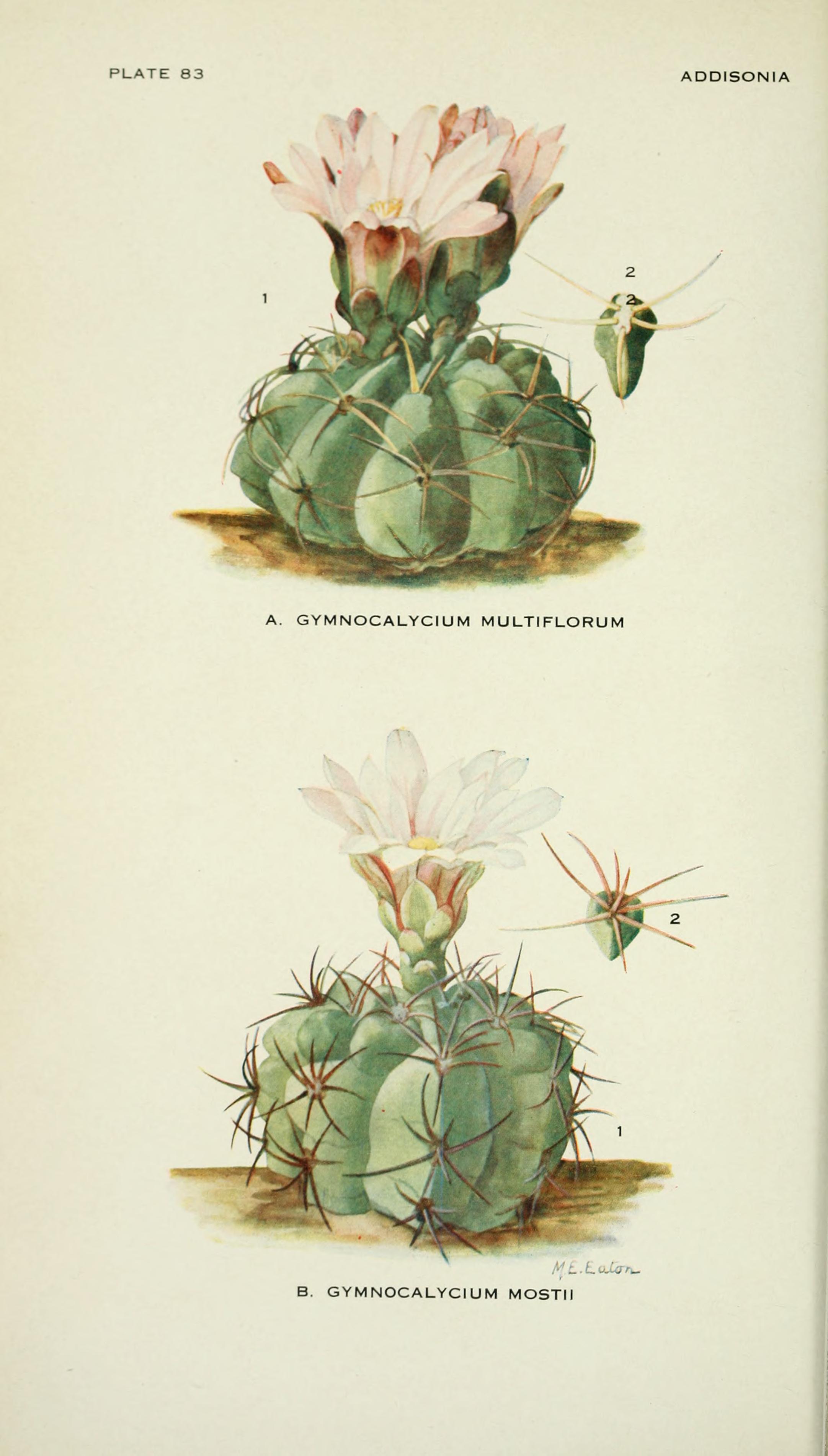 no full size  illustration available (3a)