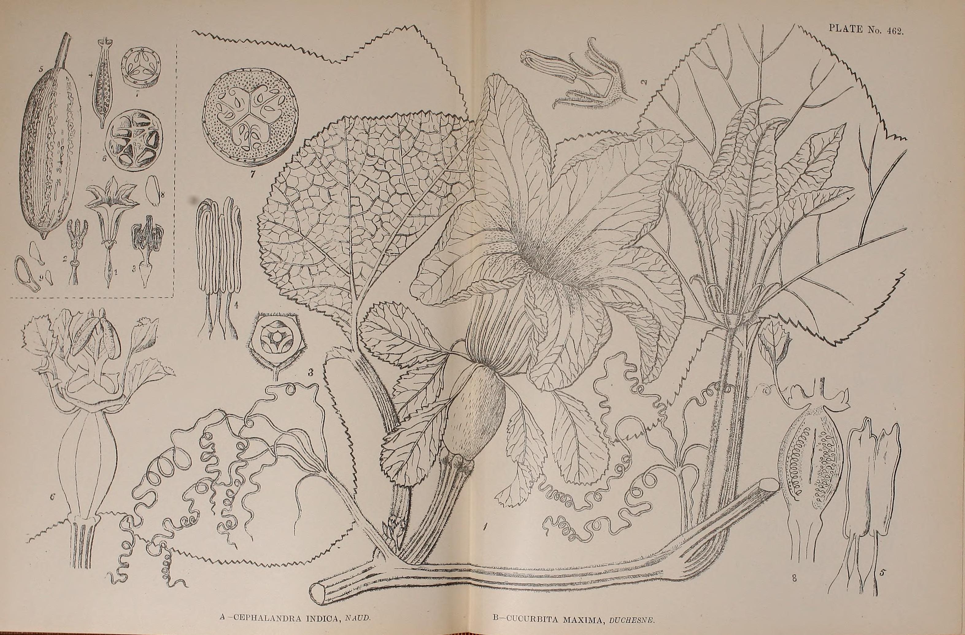 no full size  illustration available (3a)