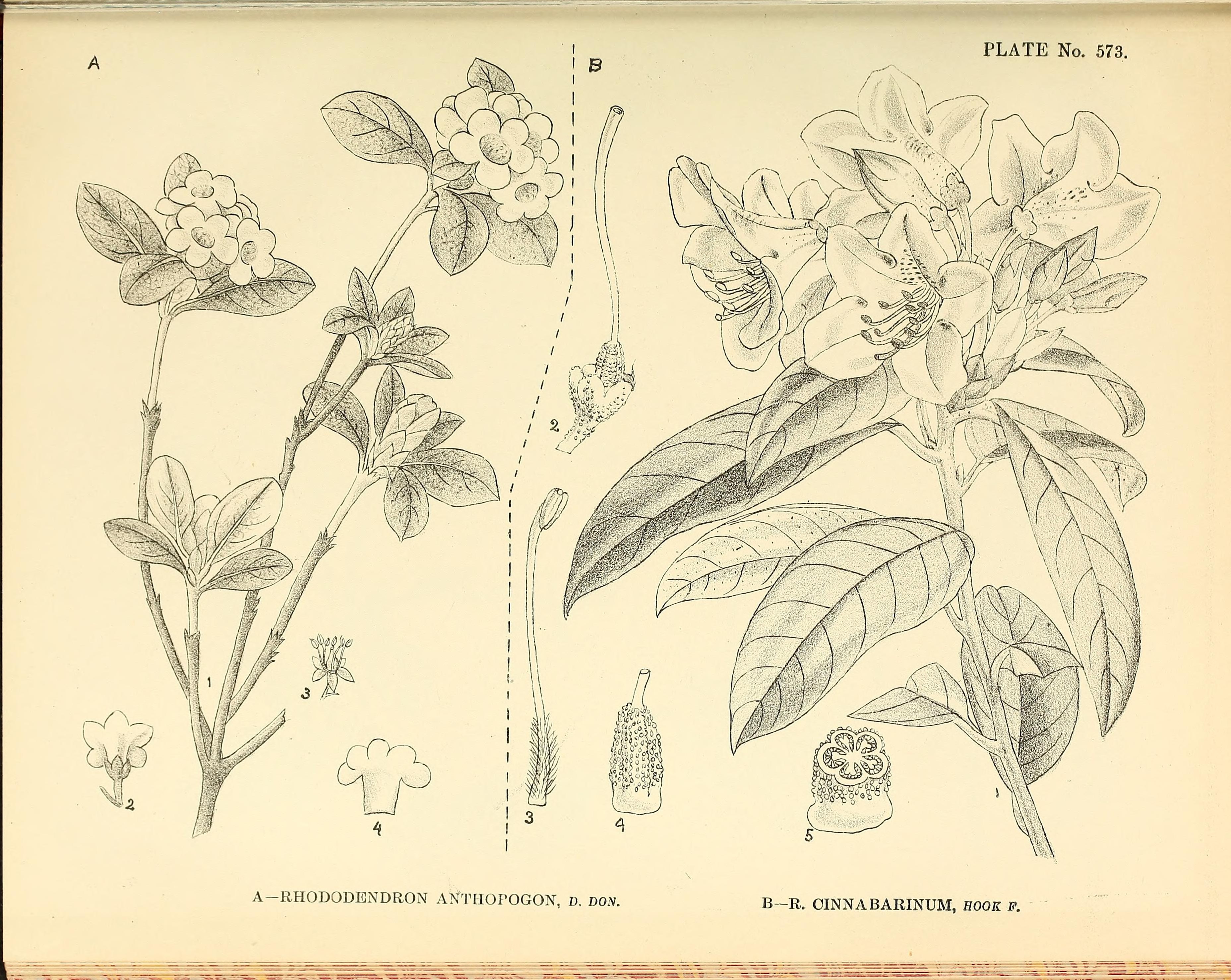 no full size  illustration available (3a)