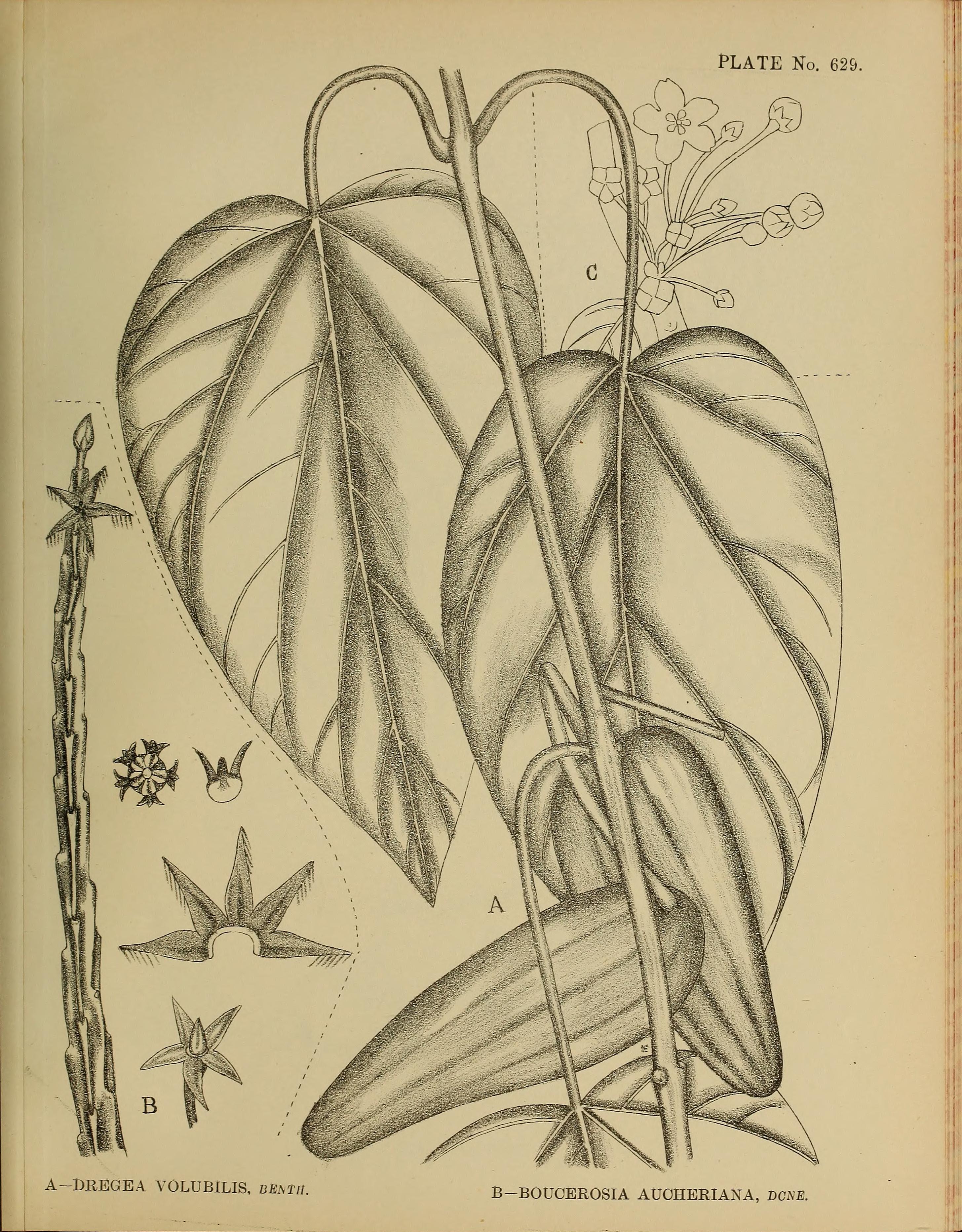 no full size  illustration available (3a)