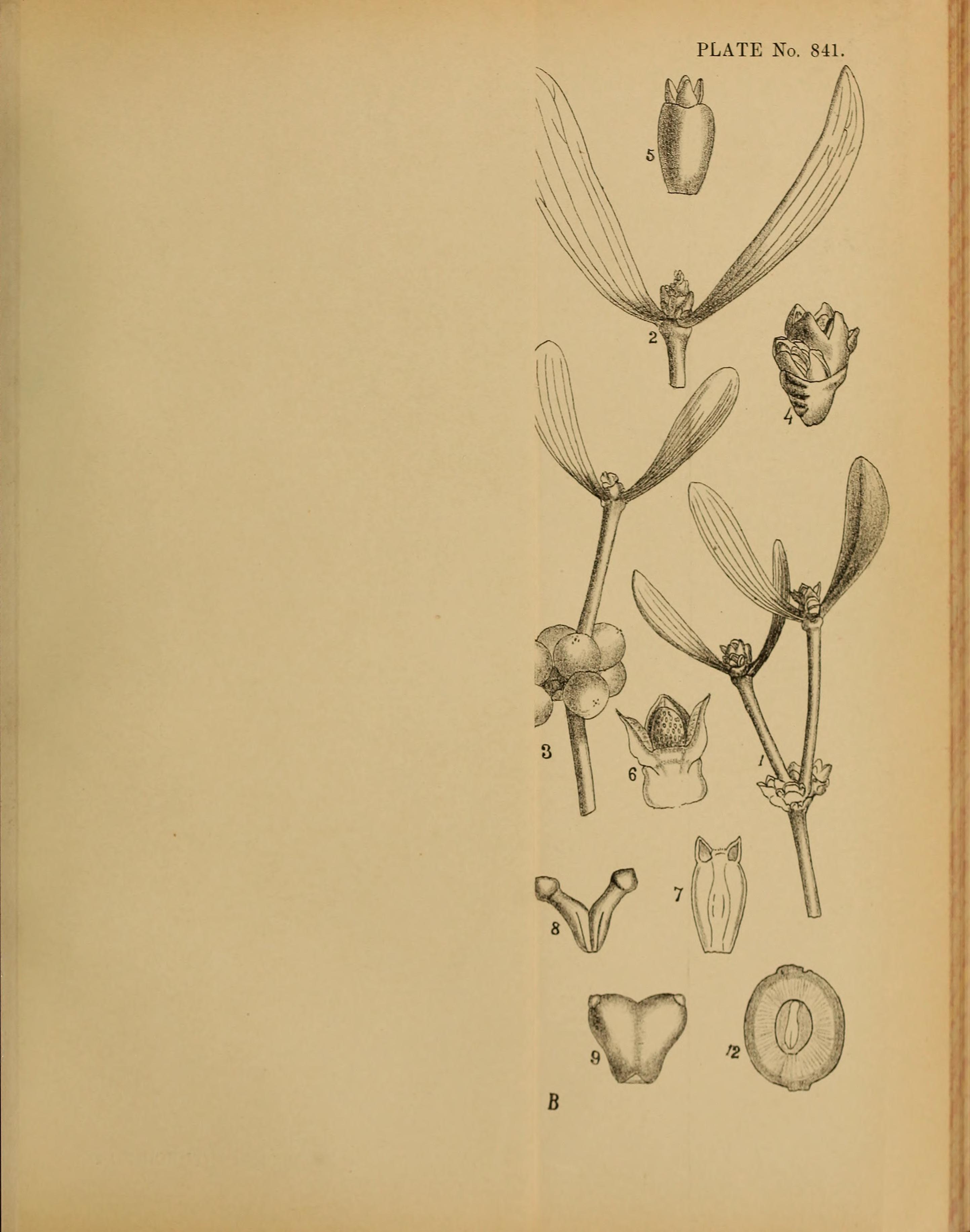 no full size  illustration available (3a)