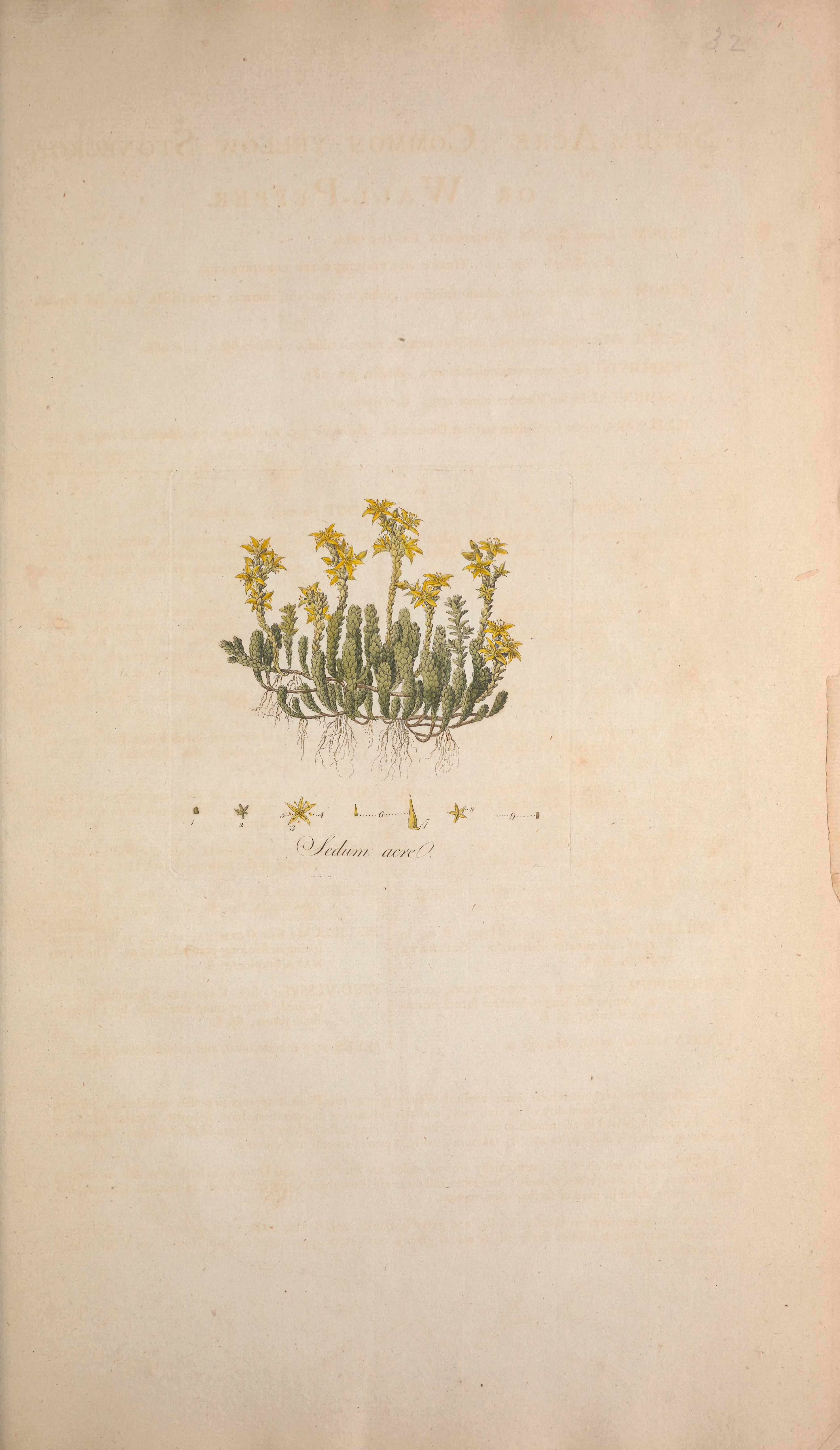 no full size  illustration available (3a)