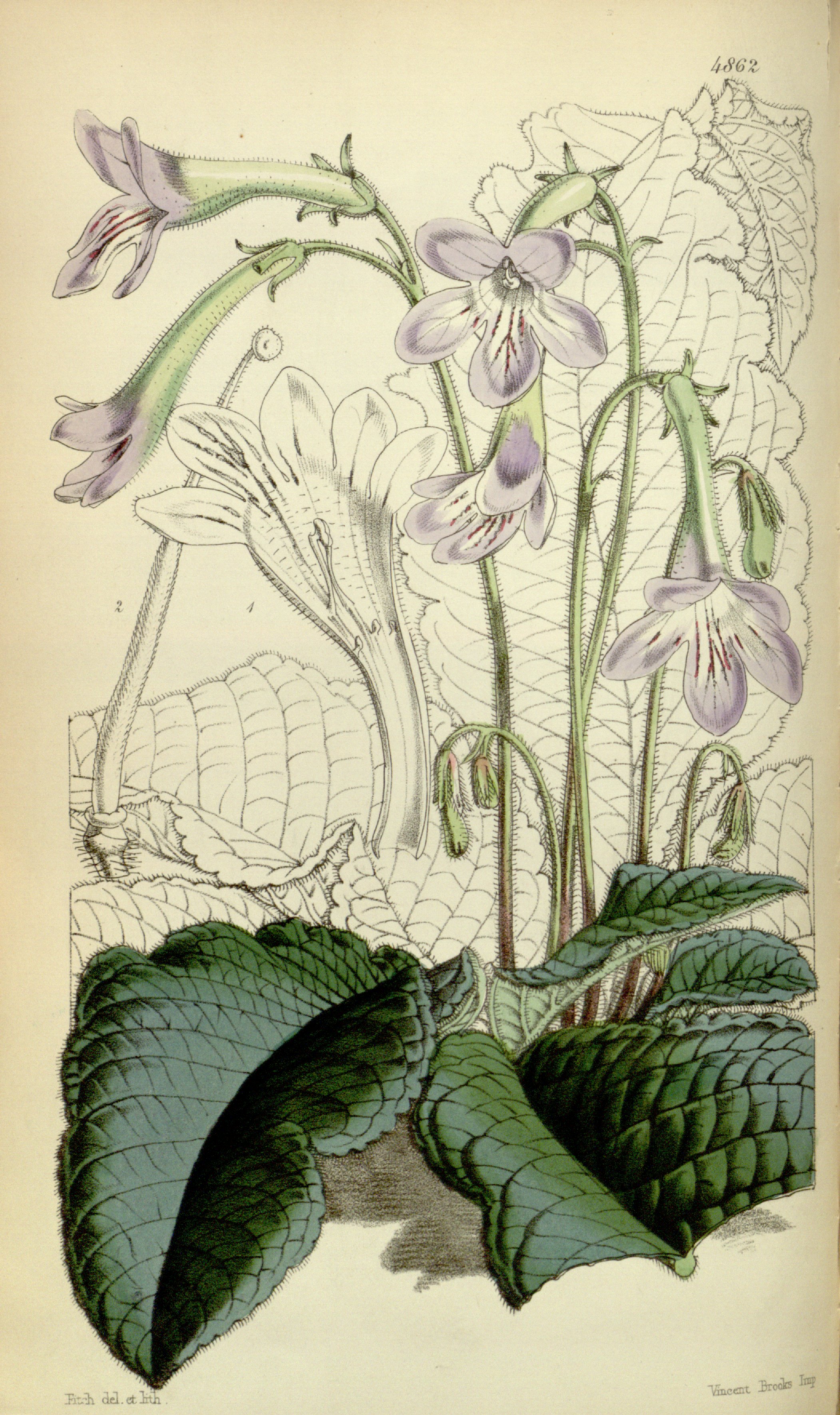 no full size  illustration available (3a)