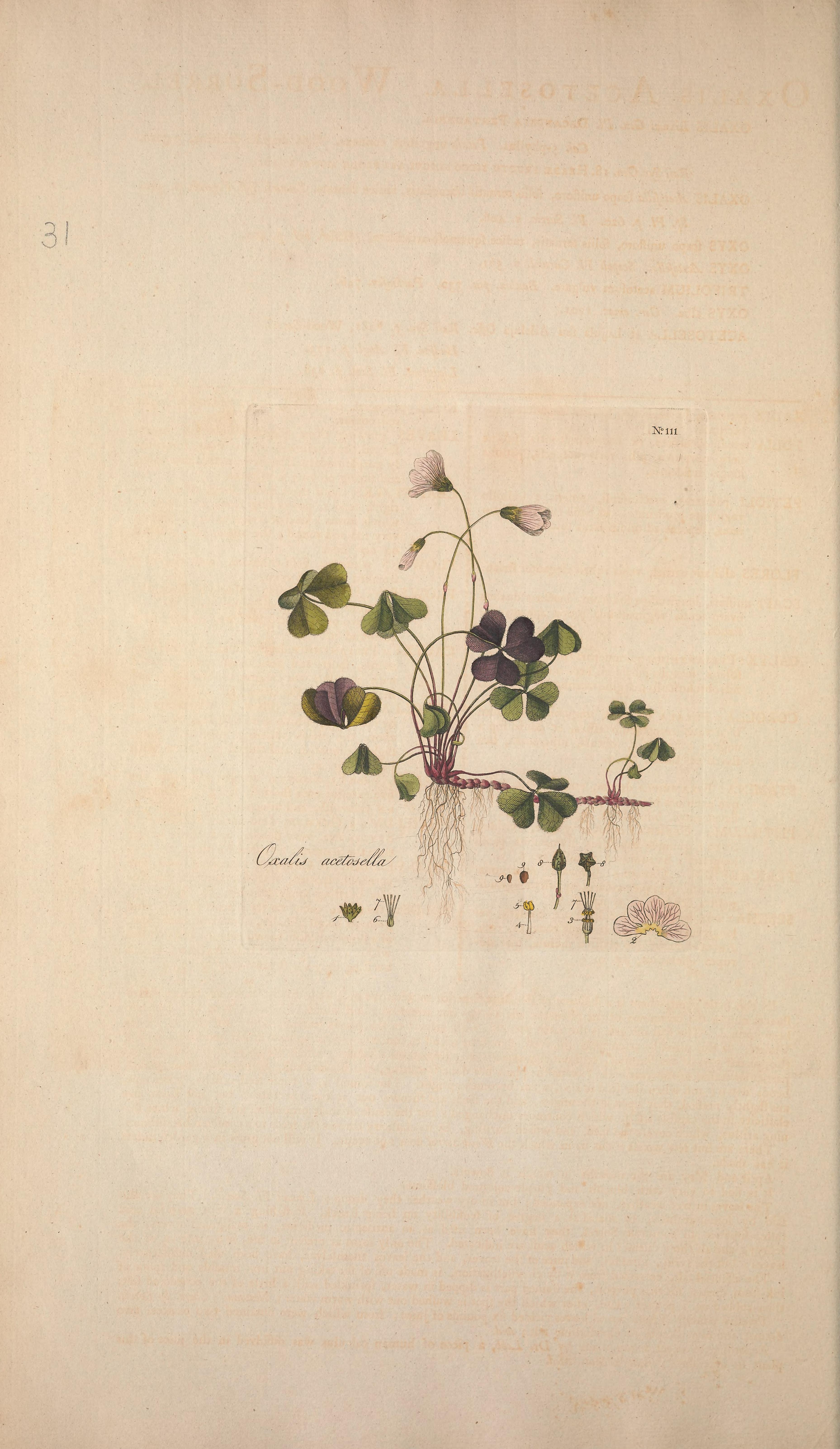 no full size  illustration available (3a)