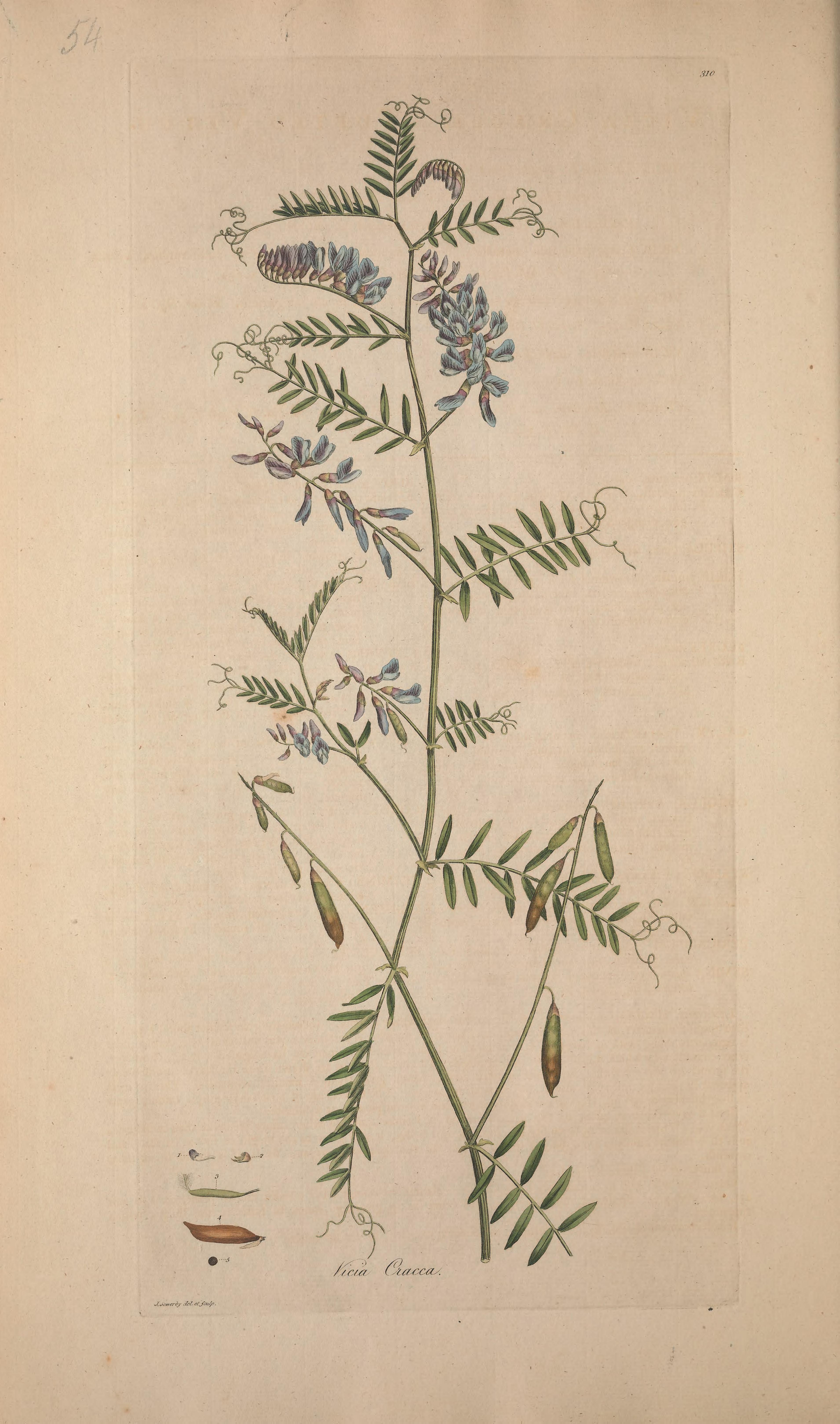 no full size  illustration available (3a)