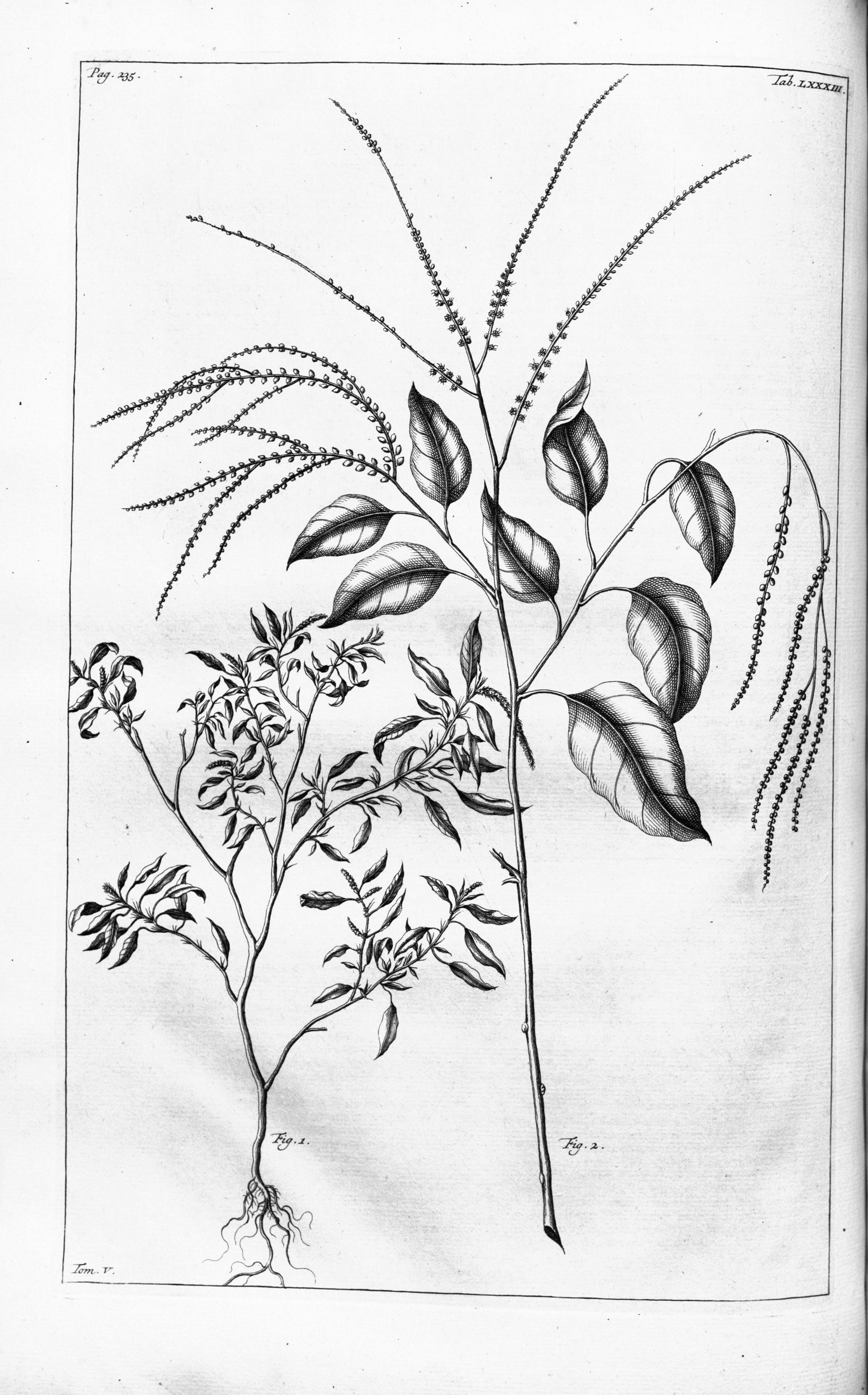 no full size  illustration available (3a)