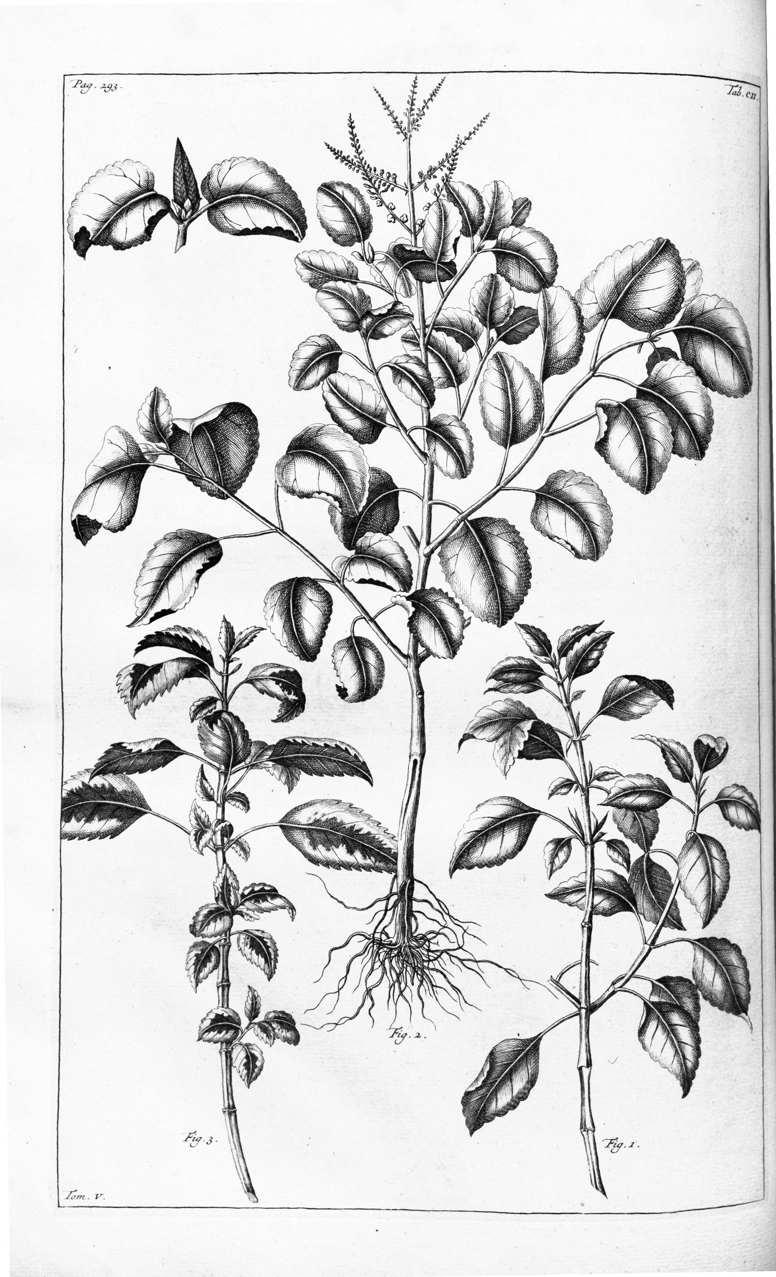 no full size  illustration available (3a)